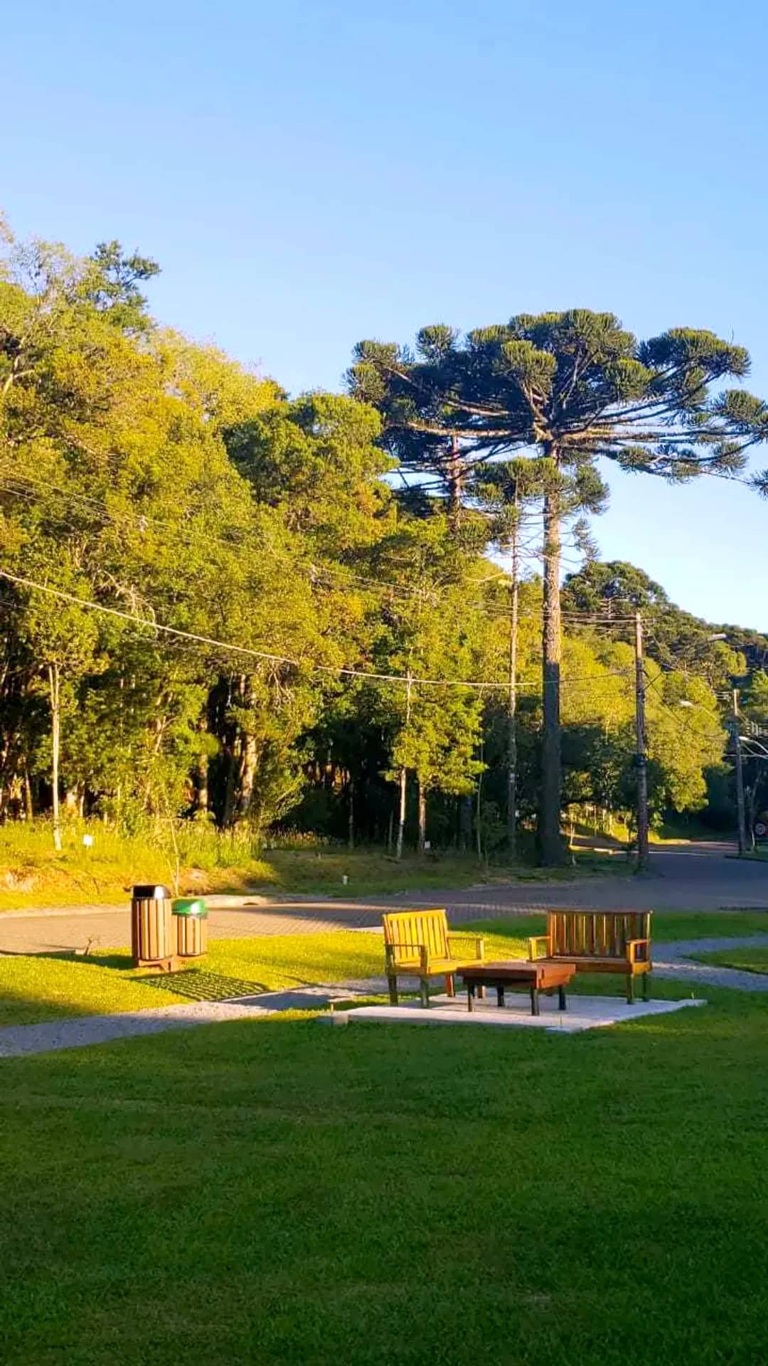 Praça com bancos e araucárias