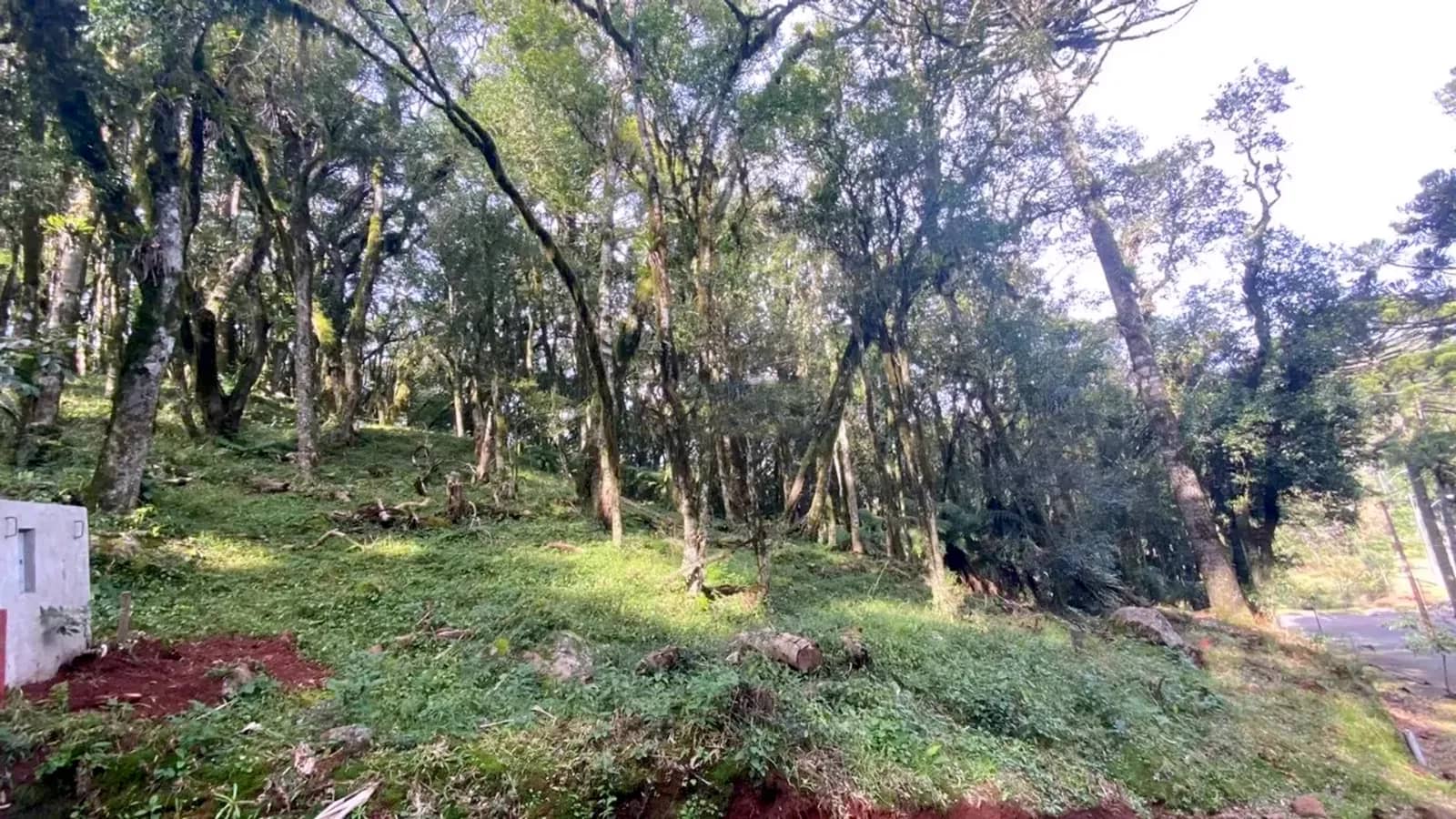 Vista do terreno em aclive