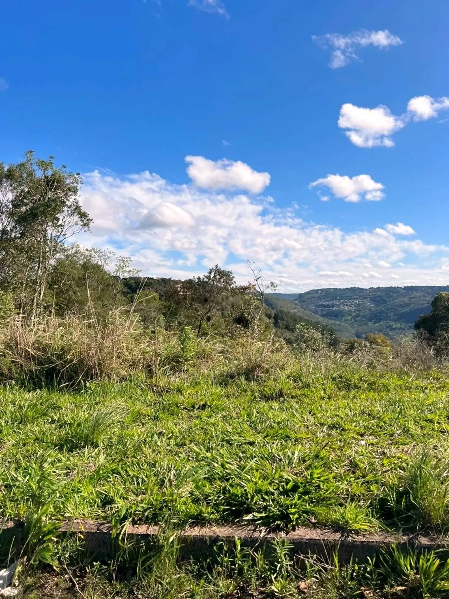 Terreno com vegetação baixa e o vale ao fundo