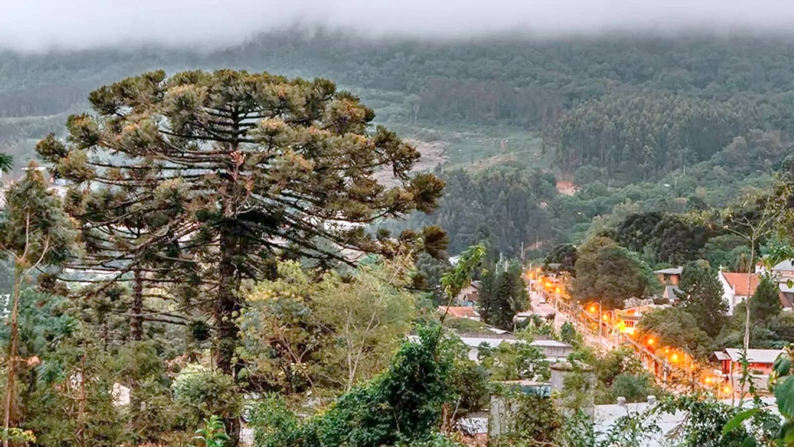 Araucária e a cidade ao entardecer