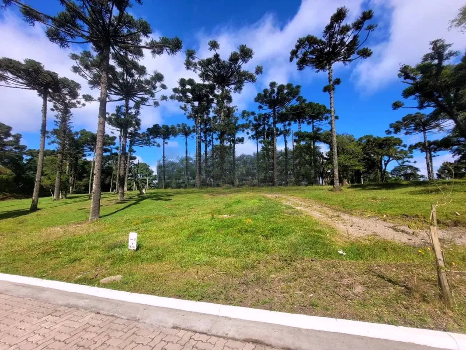 Terreno gramado com rua pavimentada em frente