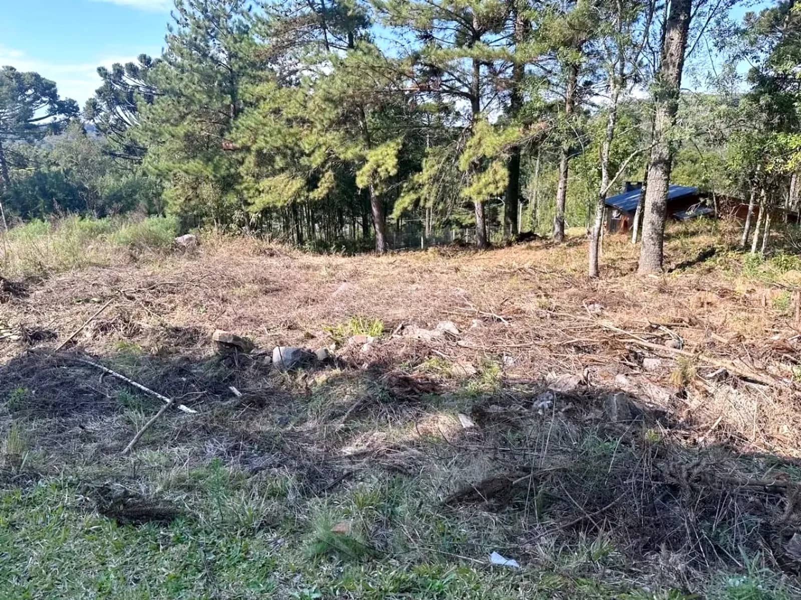 Terreno plano e limpo