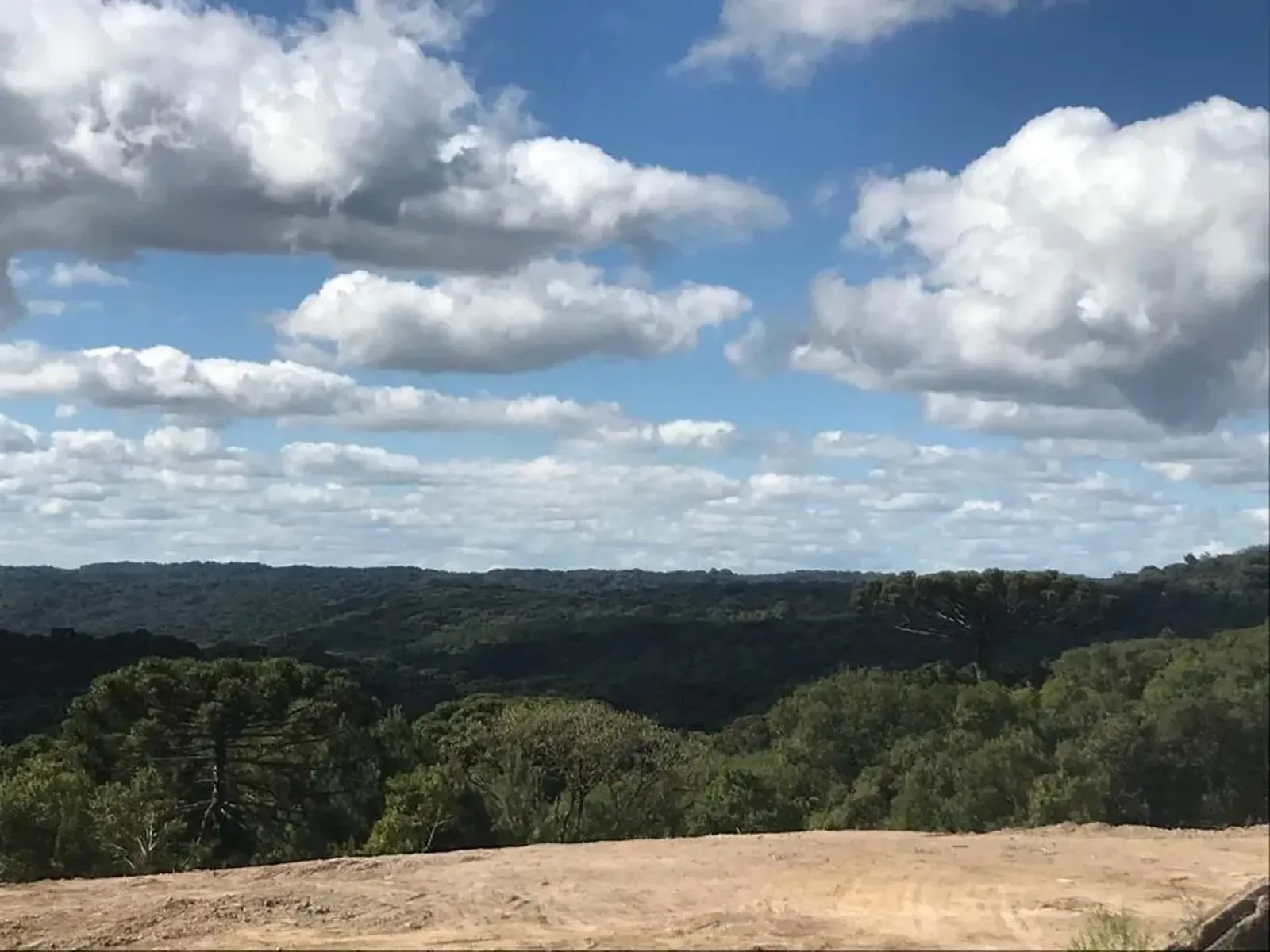 Paisagem de mata nativa ao redor