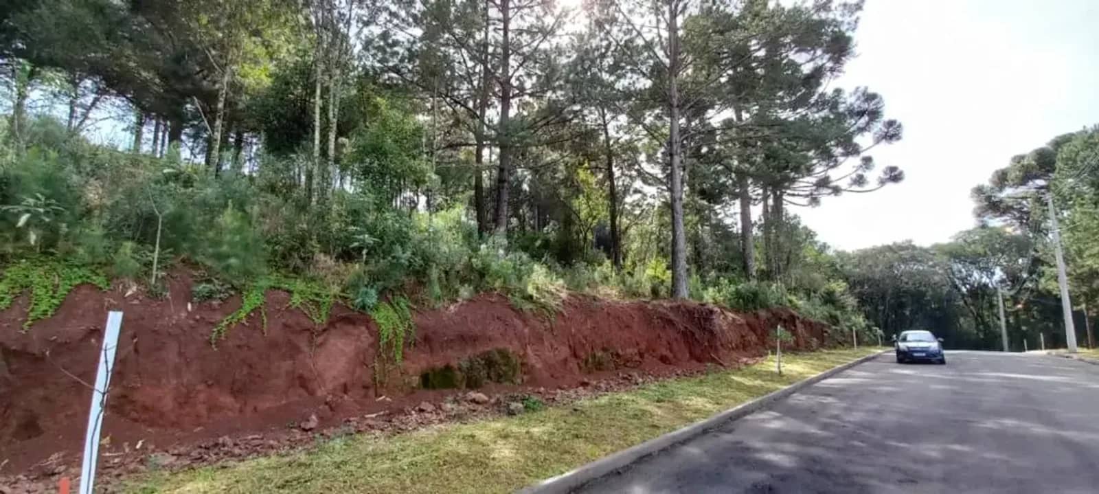 Terreno de 450 m² arborizado no Dutra, foto 2