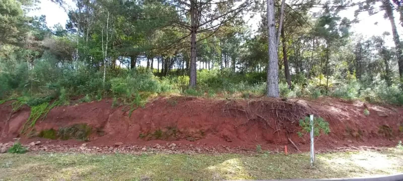 Terreno de 450 m² arborizado no Dutra, foto 5