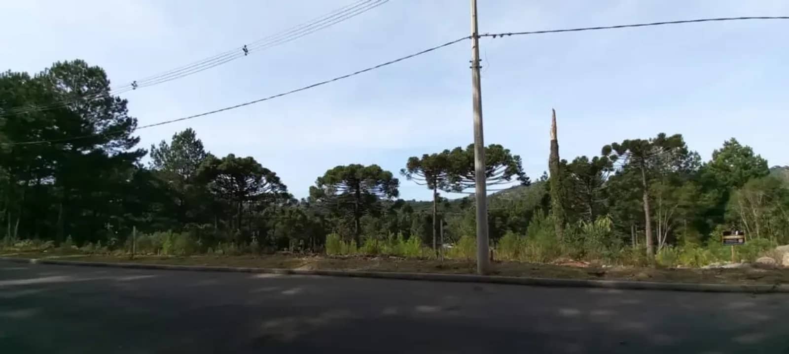 Terreno de 450 m² arborizado no Dutra, foto 6