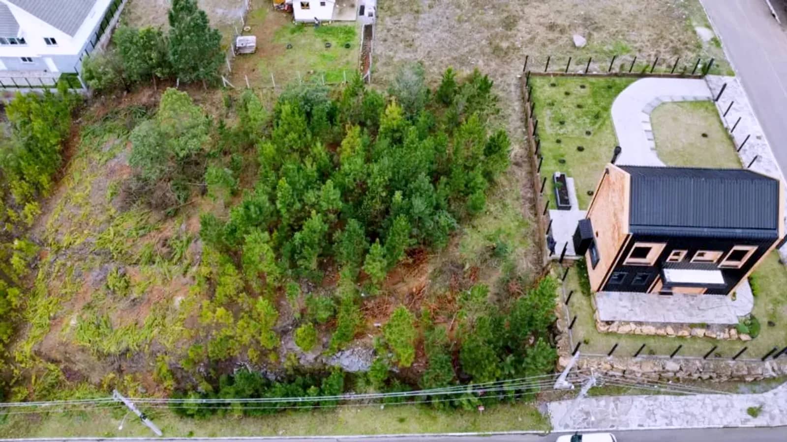 Terreno arborizado ao lado de casa nova no Dutra
