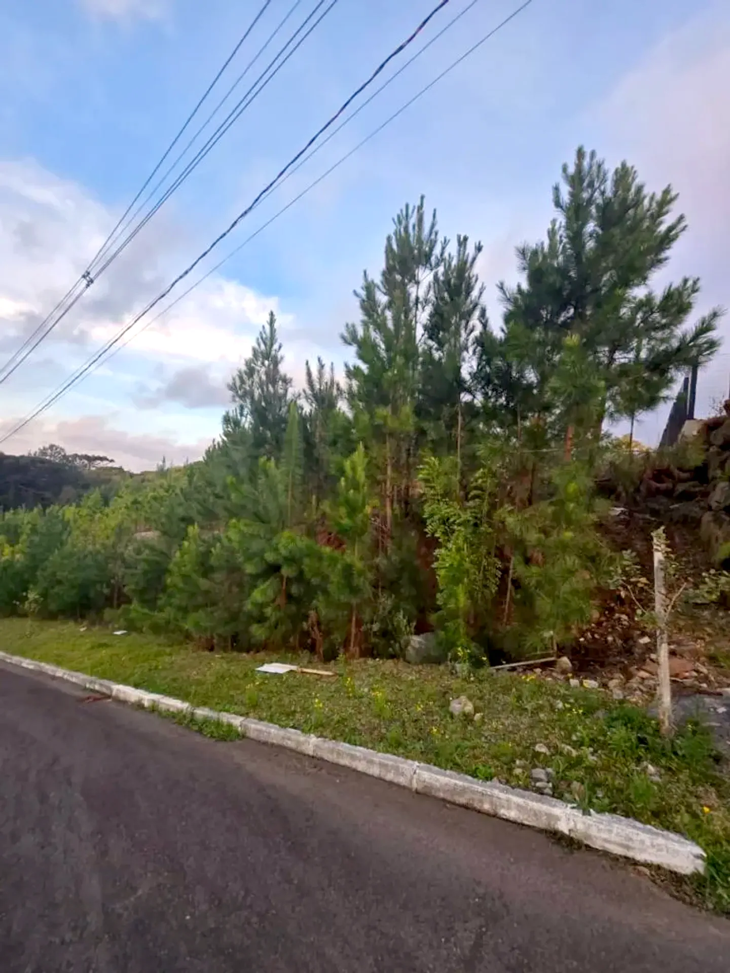 Rua Waldi Kich em frente ao terreno