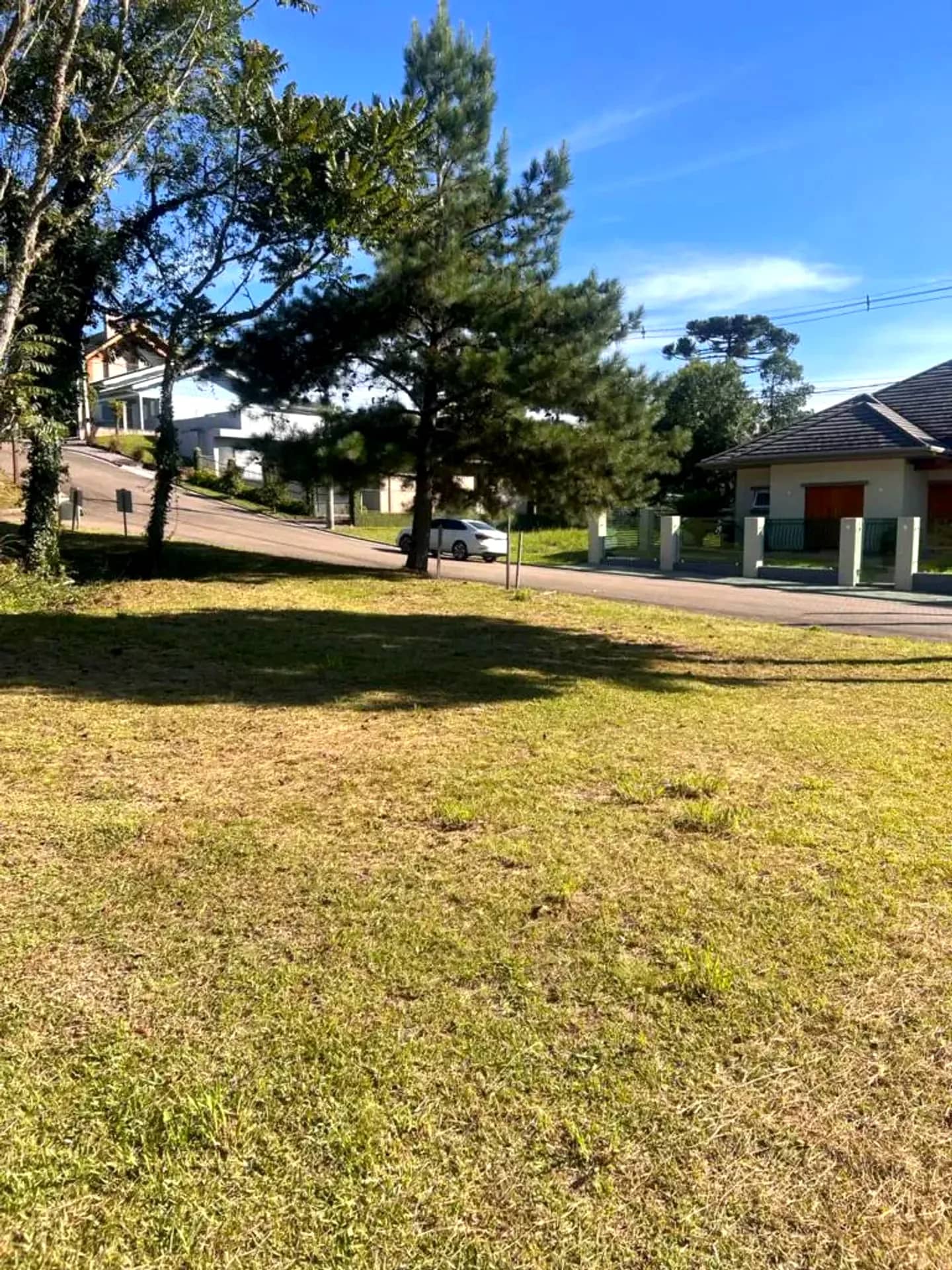 Terreno plano de 465 m² na Rua Araucária