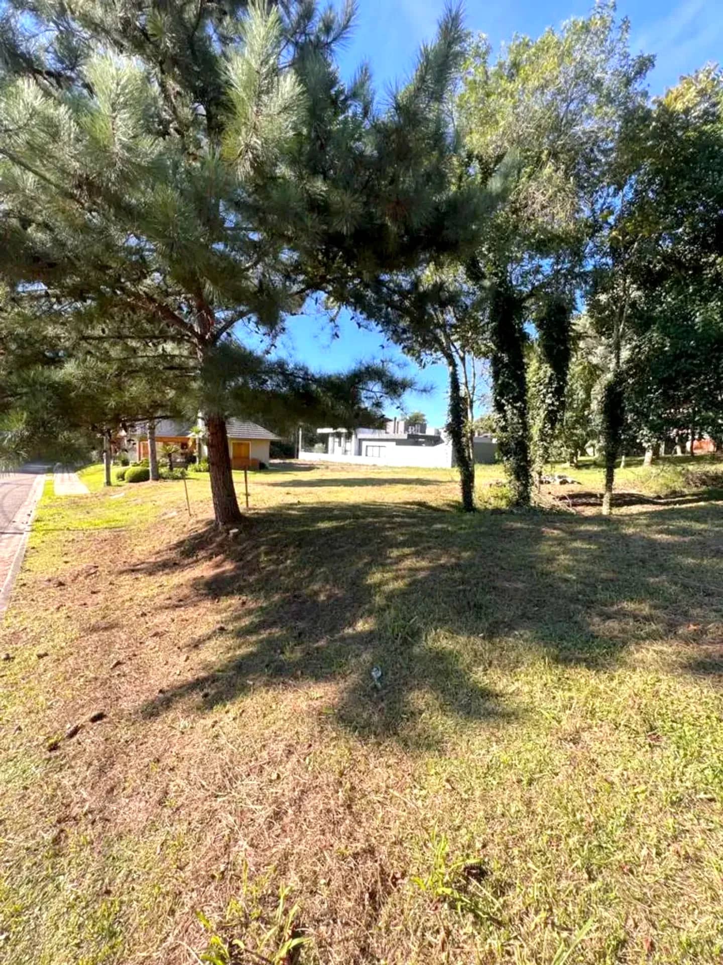 Terreno plano de 465 m² na Rua Araucária, foto 5
