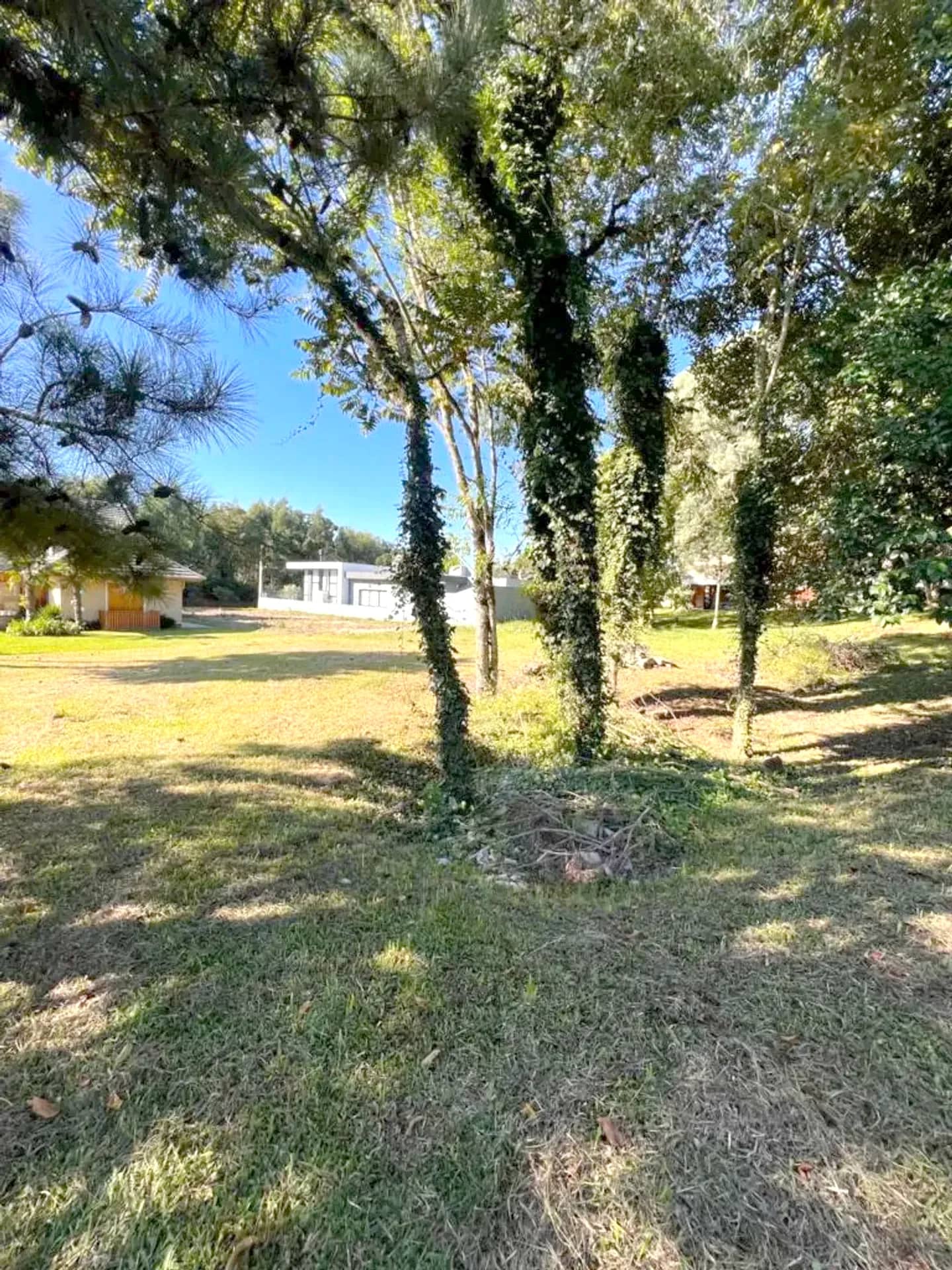 Terreno plano de 465 m² na Rua Araucária, foto 7