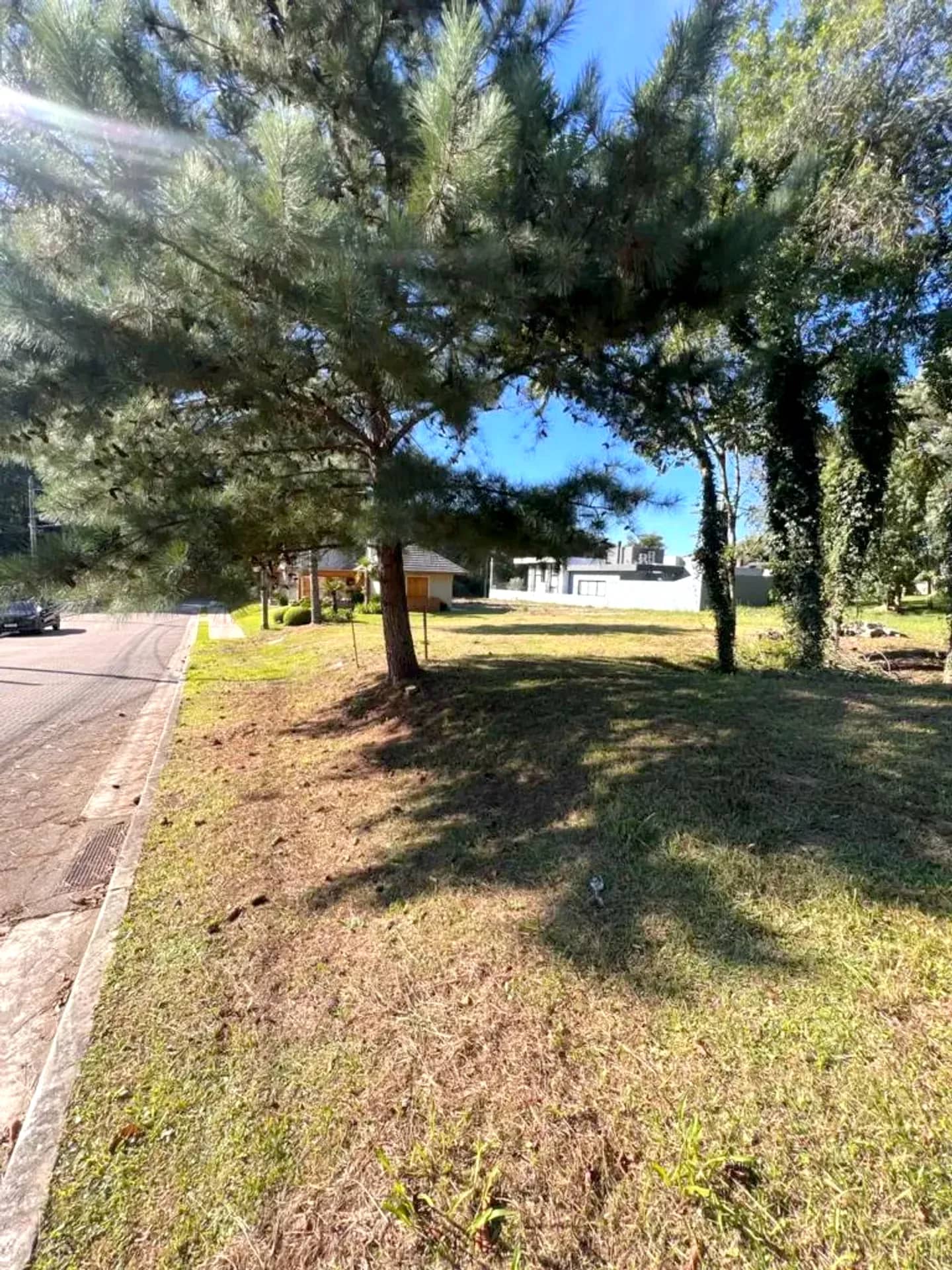 Terreno plano de 465 m² na Rua Araucária, foto 8