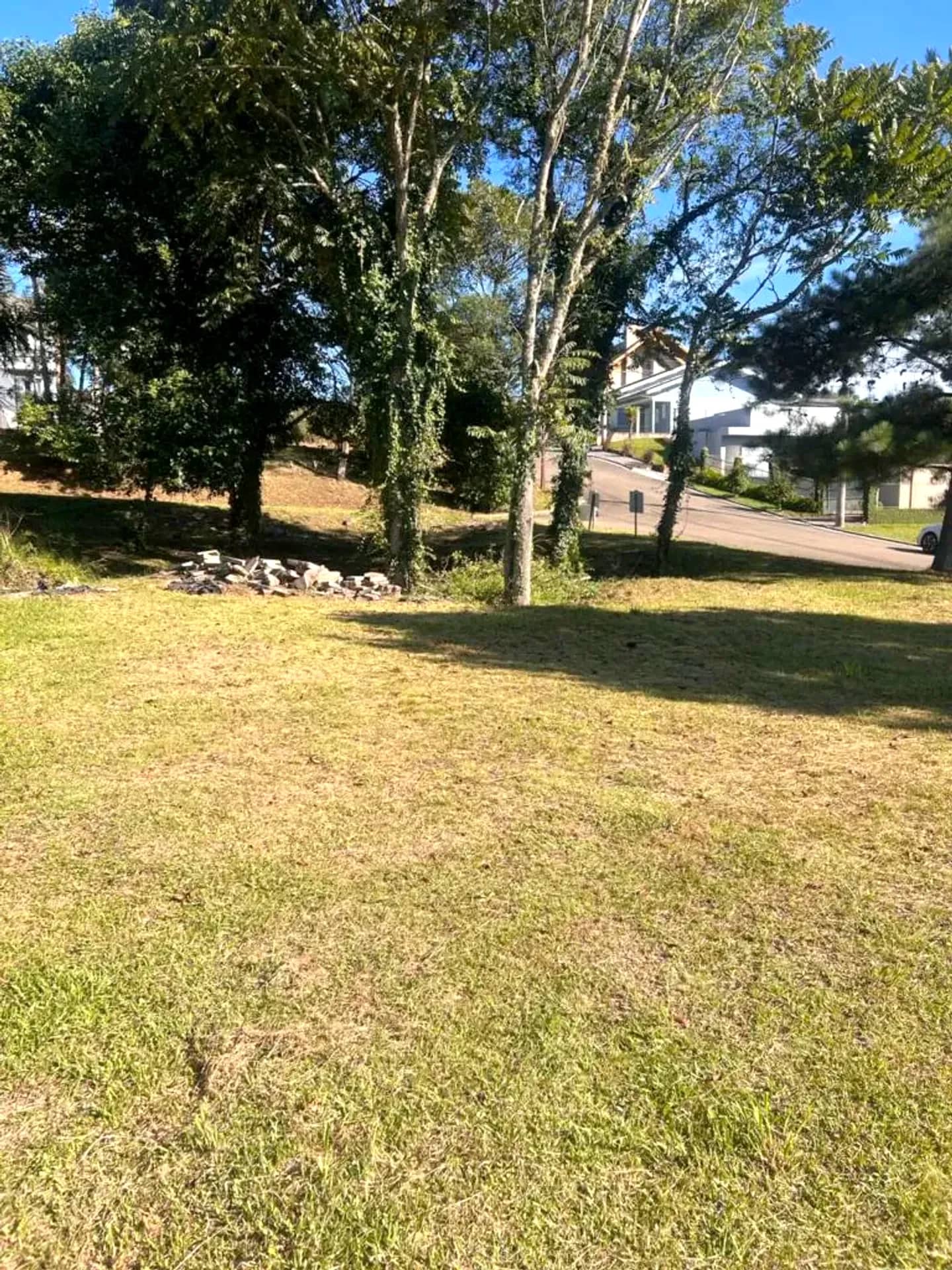 Terreno plano de 465 m² na Rua Araucária, foto 9