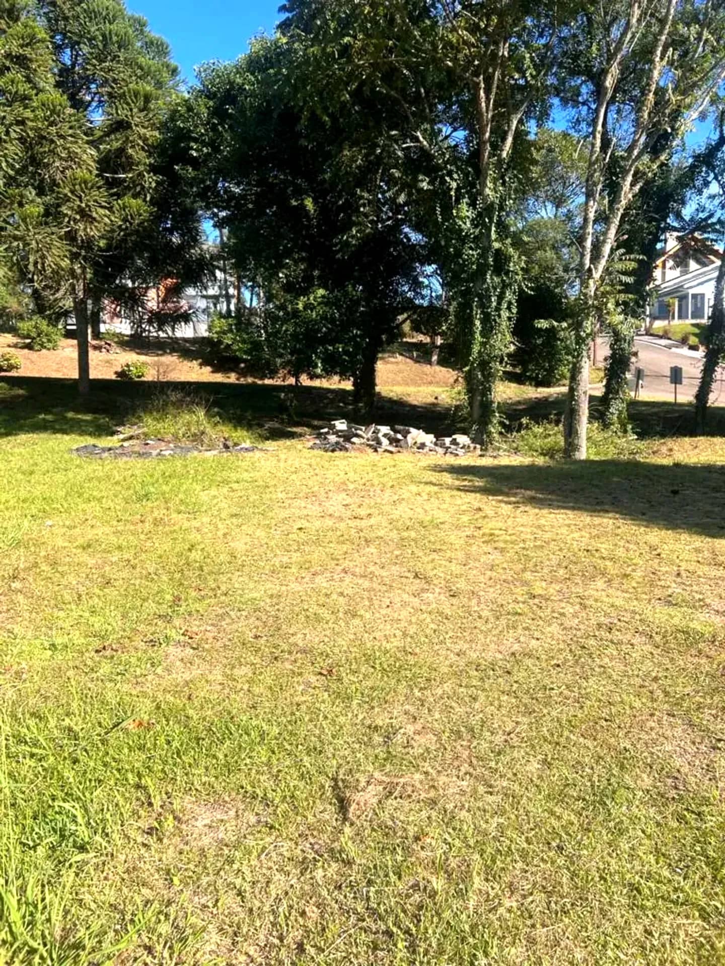 Terreno plano de 465 m² na Rua Araucária, foto 10