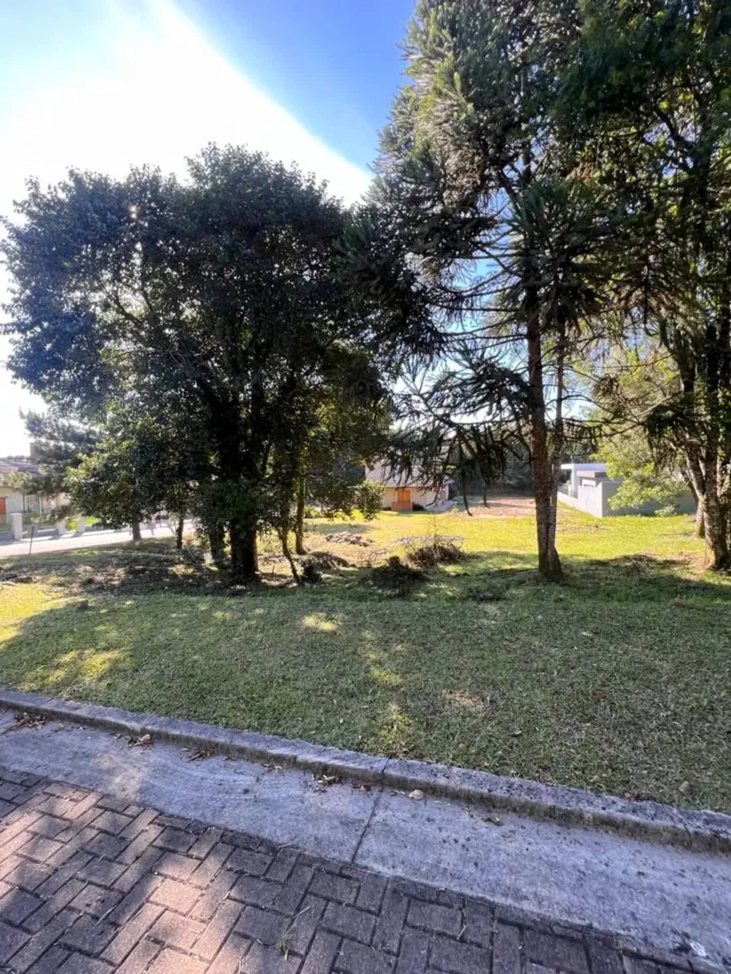 Terreno plano de 465 m² na Rua Araucária, foto 11