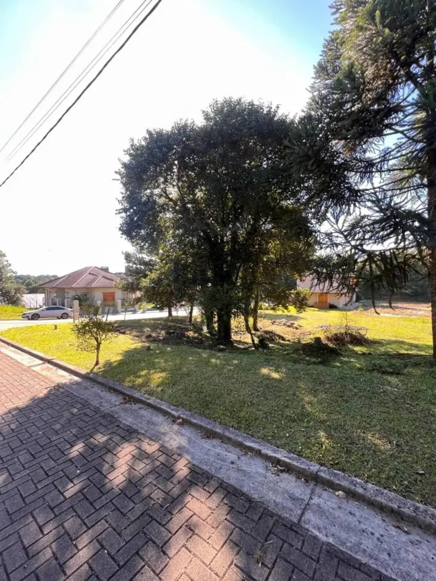 Terreno plano de 465 m² na Rua Araucária, foto 12