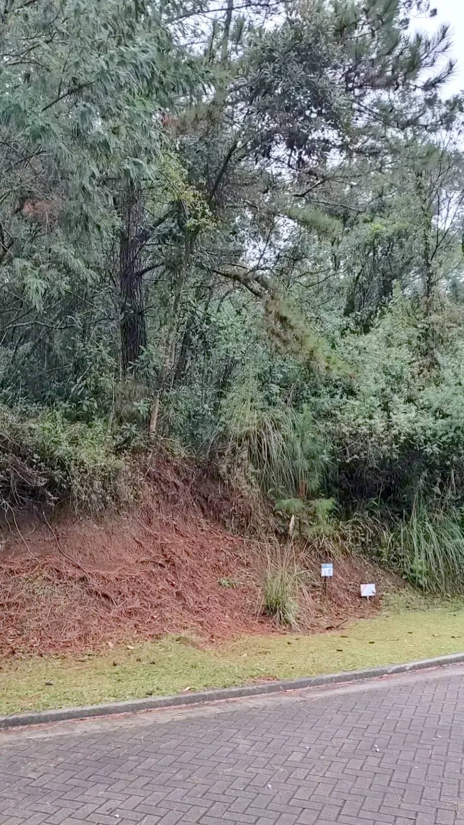 Lateral do terreno