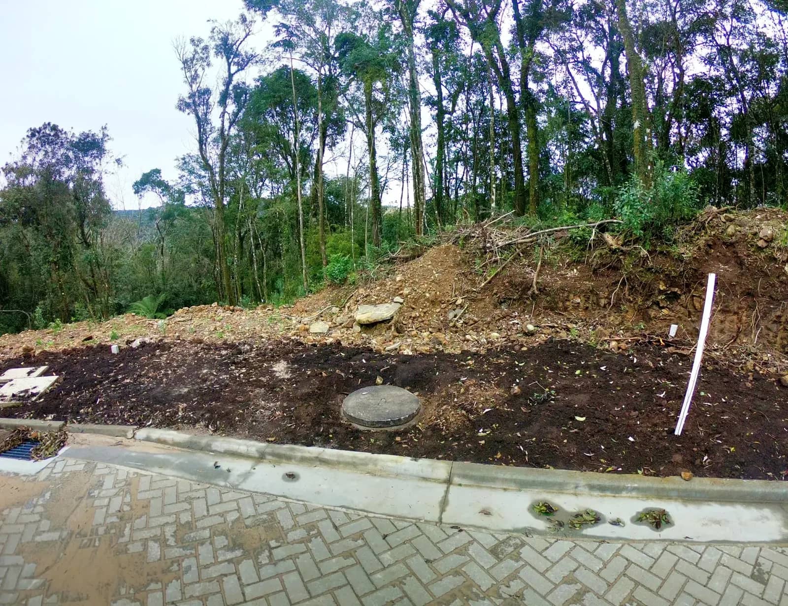 Terreno arborizado de 597 m² com vista para o vale, foto 3