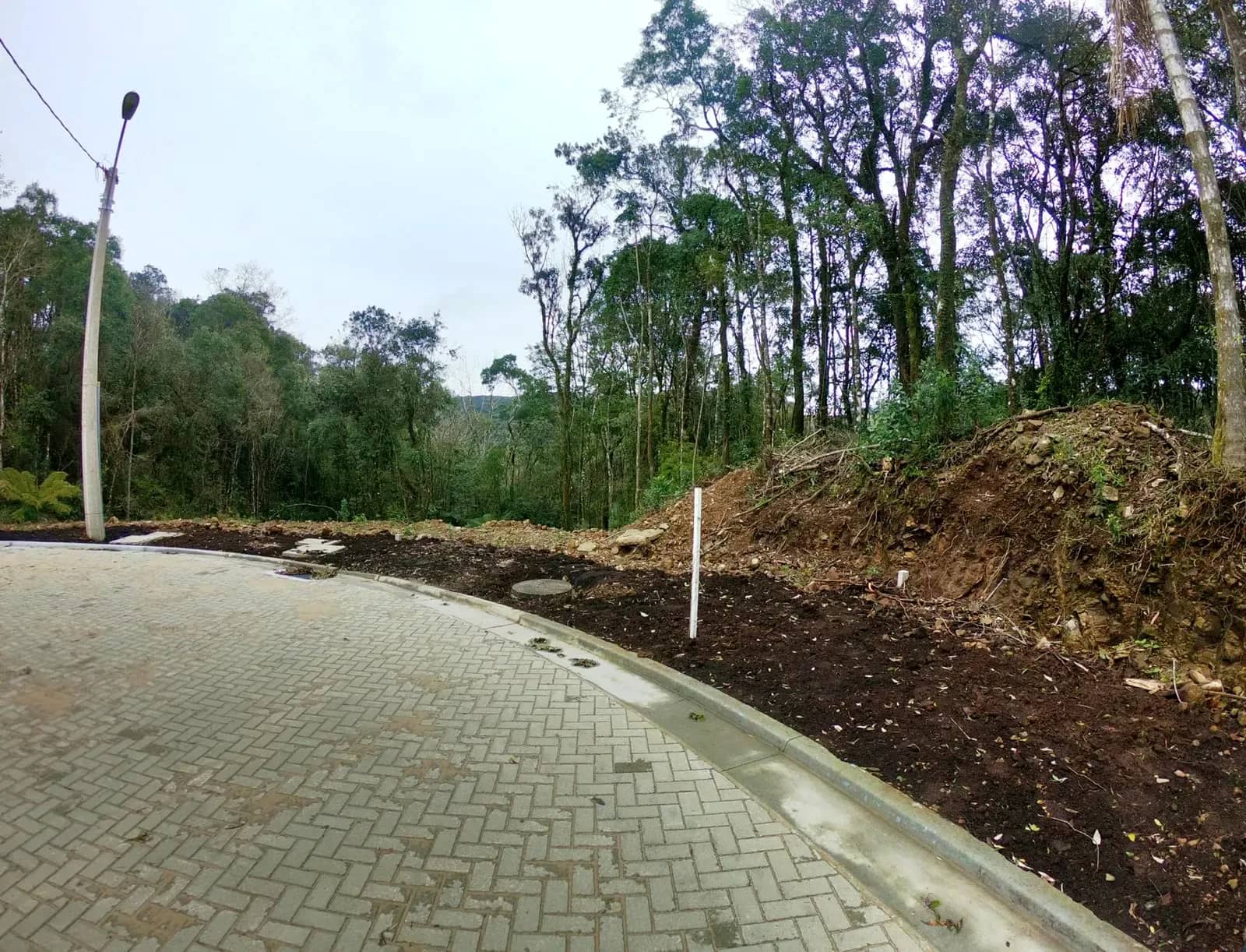 Terreno arborizado de 597 m² com vista para o vale, foto 4