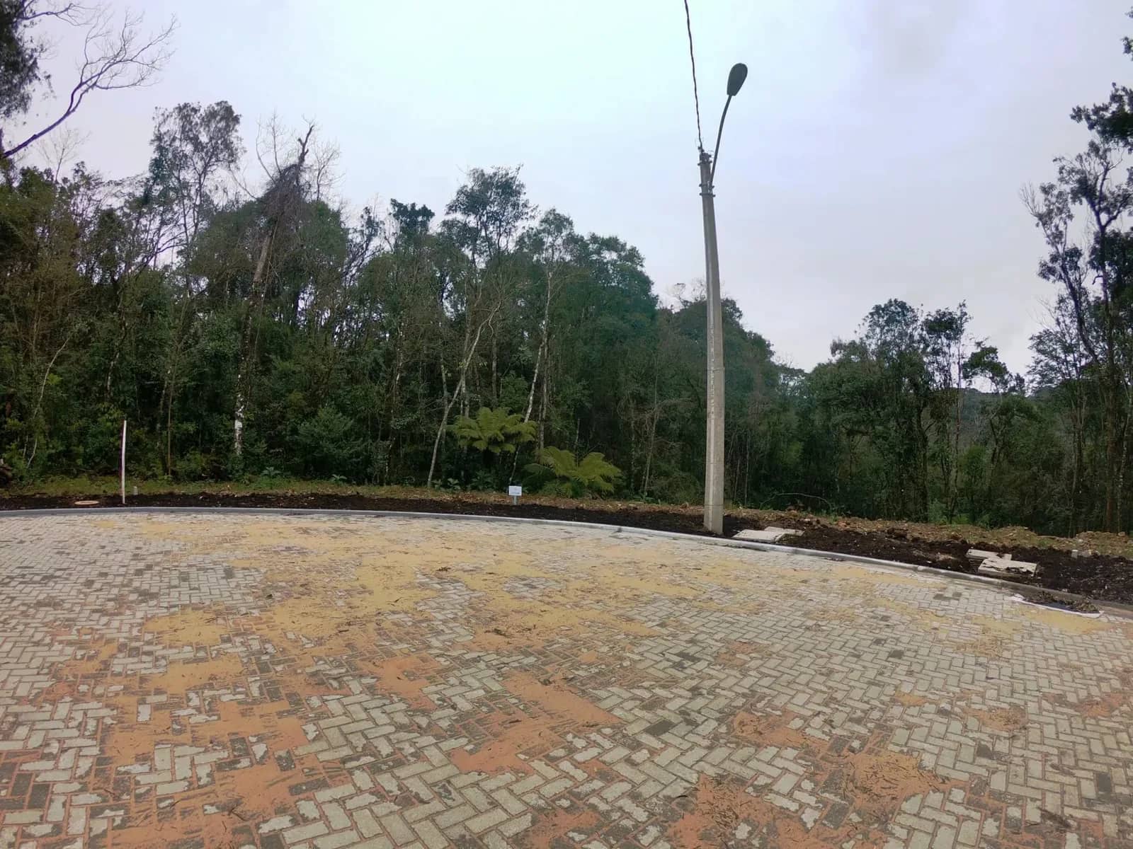 Terreno arborizado de 597 m² com vista para o vale, foto 5
