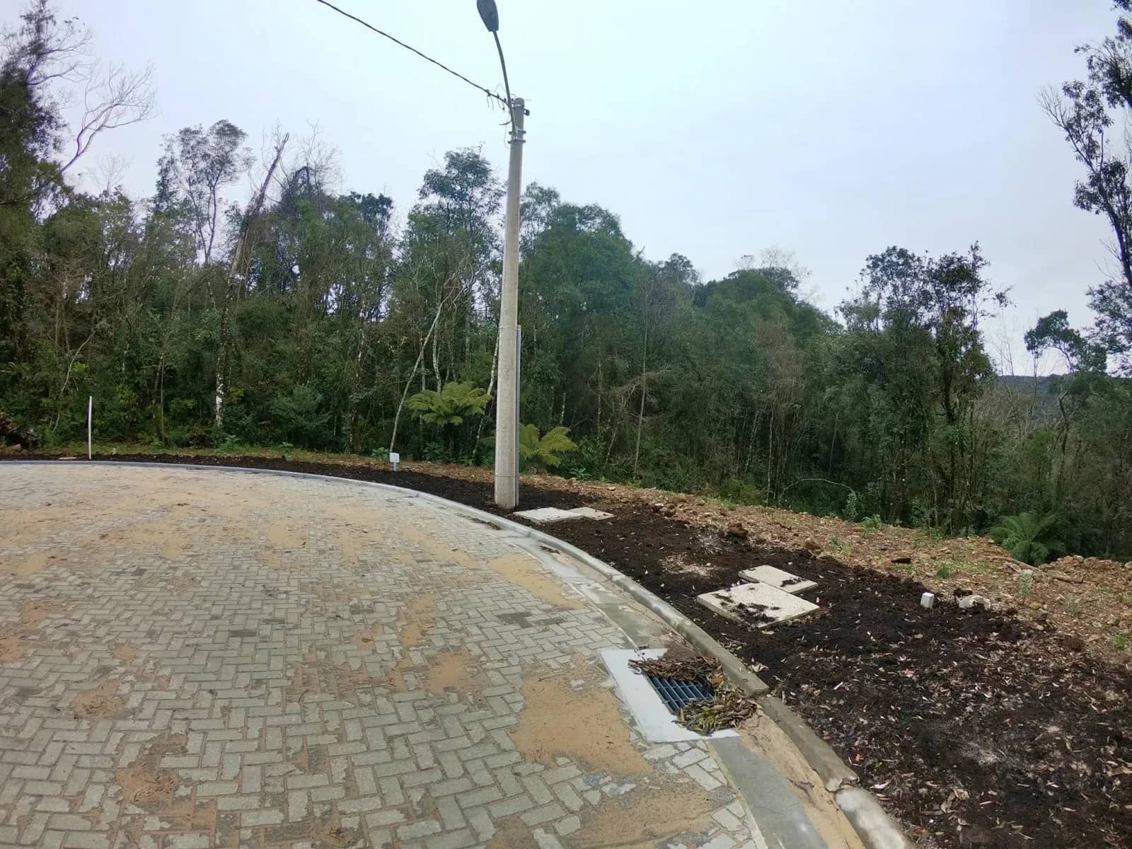 Terreno arborizado de 597 m² com vista para o vale, foto 6