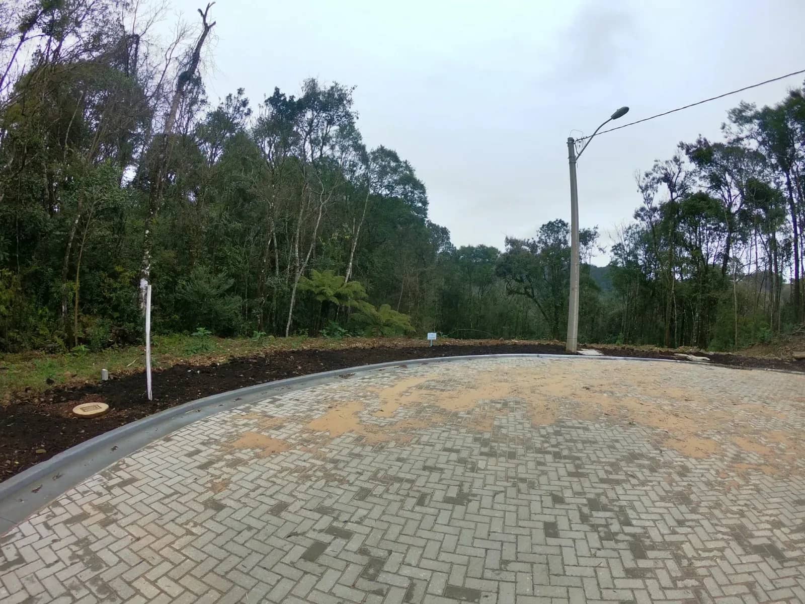 Terreno arborizado de 597 m² com vista para o vale, foto 7