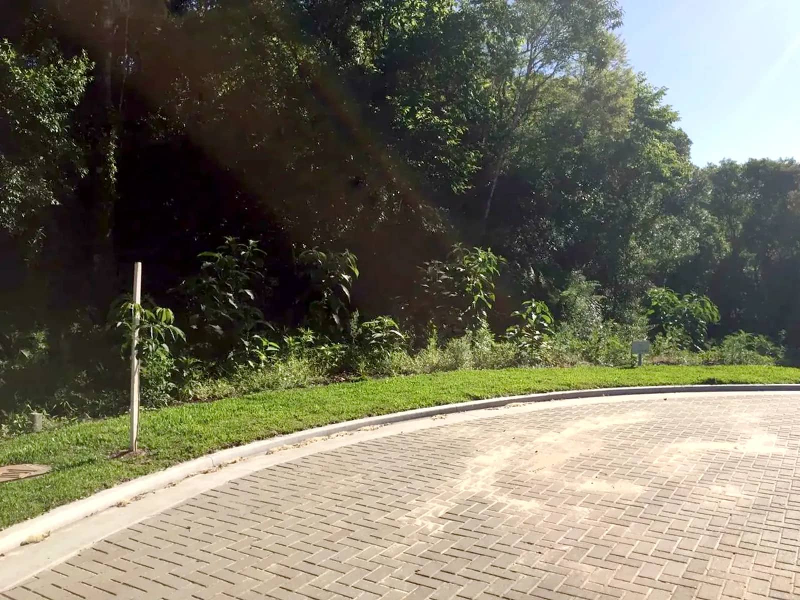 Terreno arborizado de 597 m² com vista para o vale, foto 8
