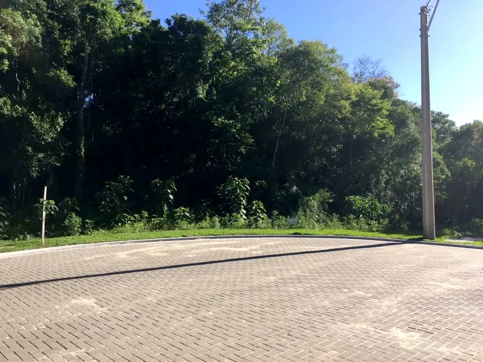Terreno arborizado de 597 m² com vista para o vale, foto 9