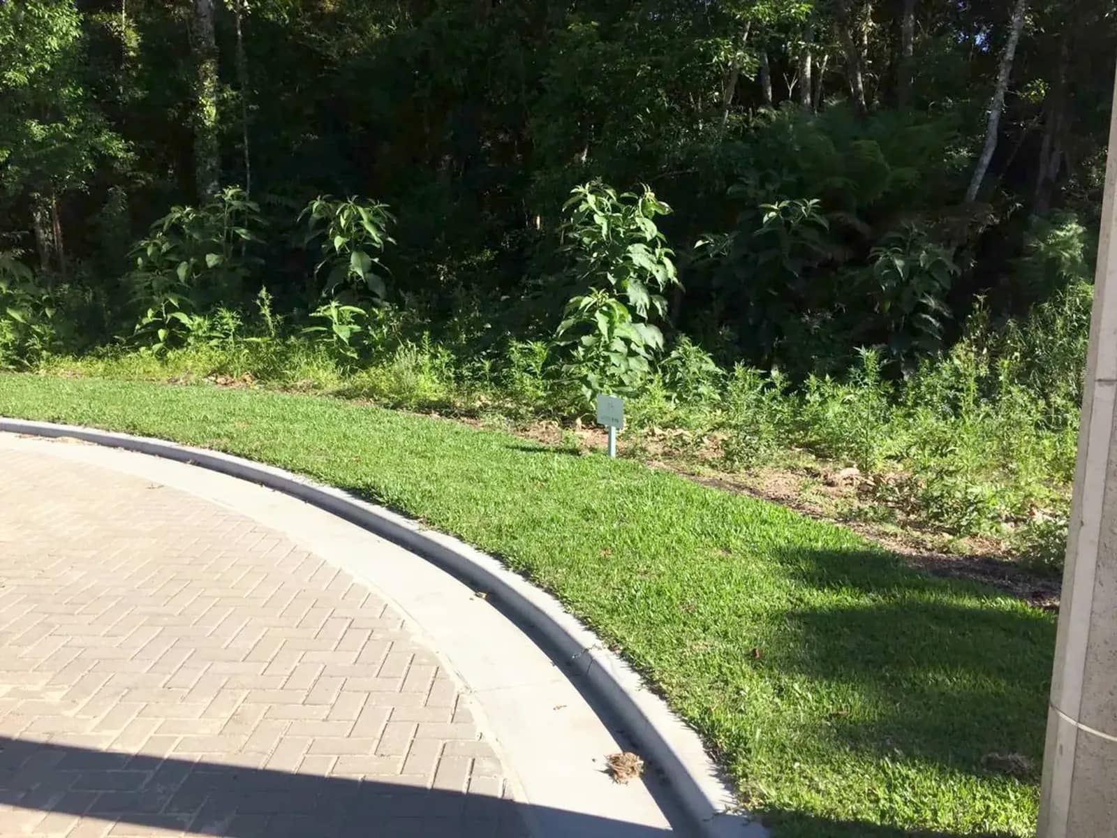 Terreno arborizado de 597 m² com vista para o vale, foto 10