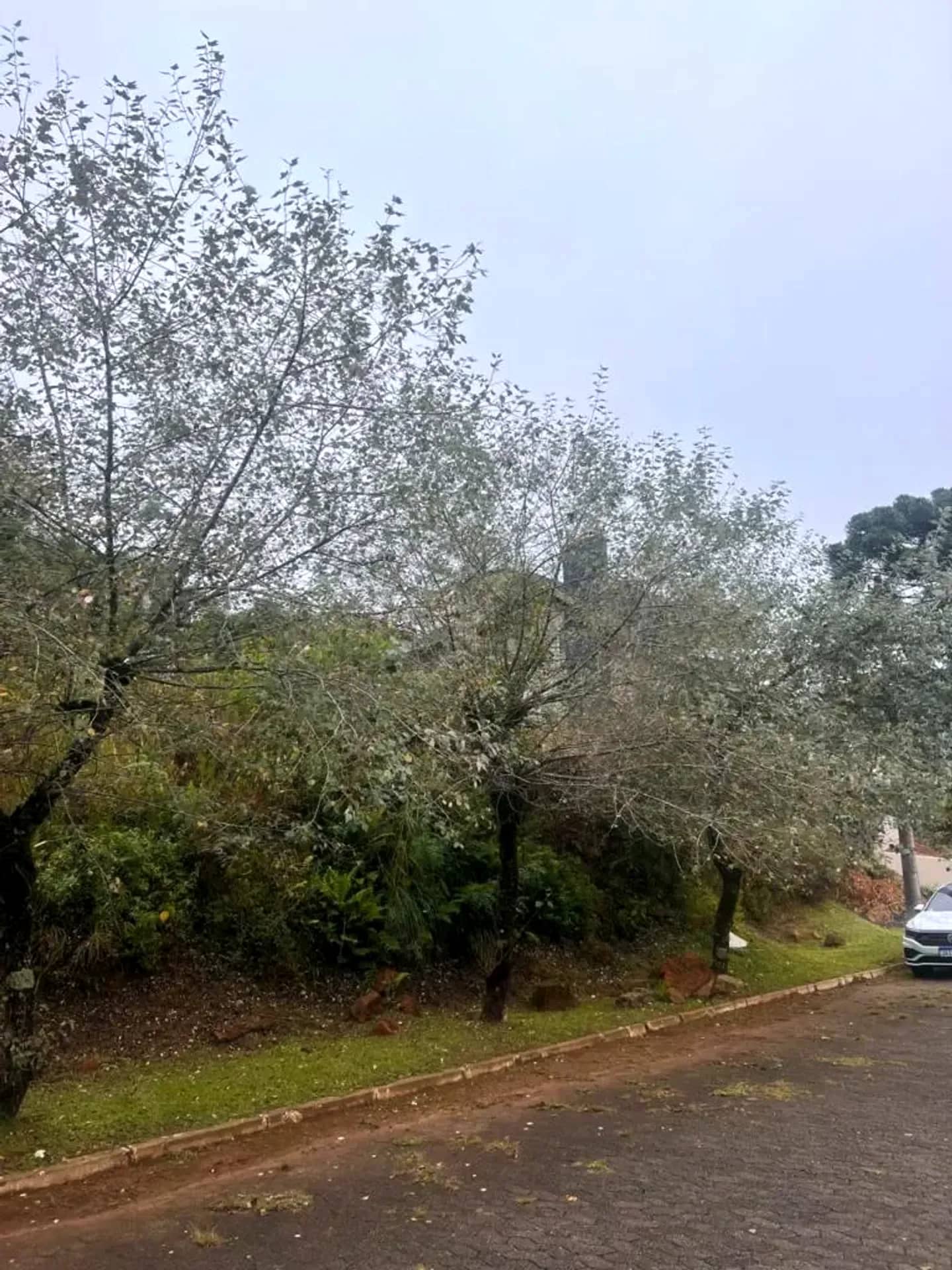 Lote visto da rua calçada