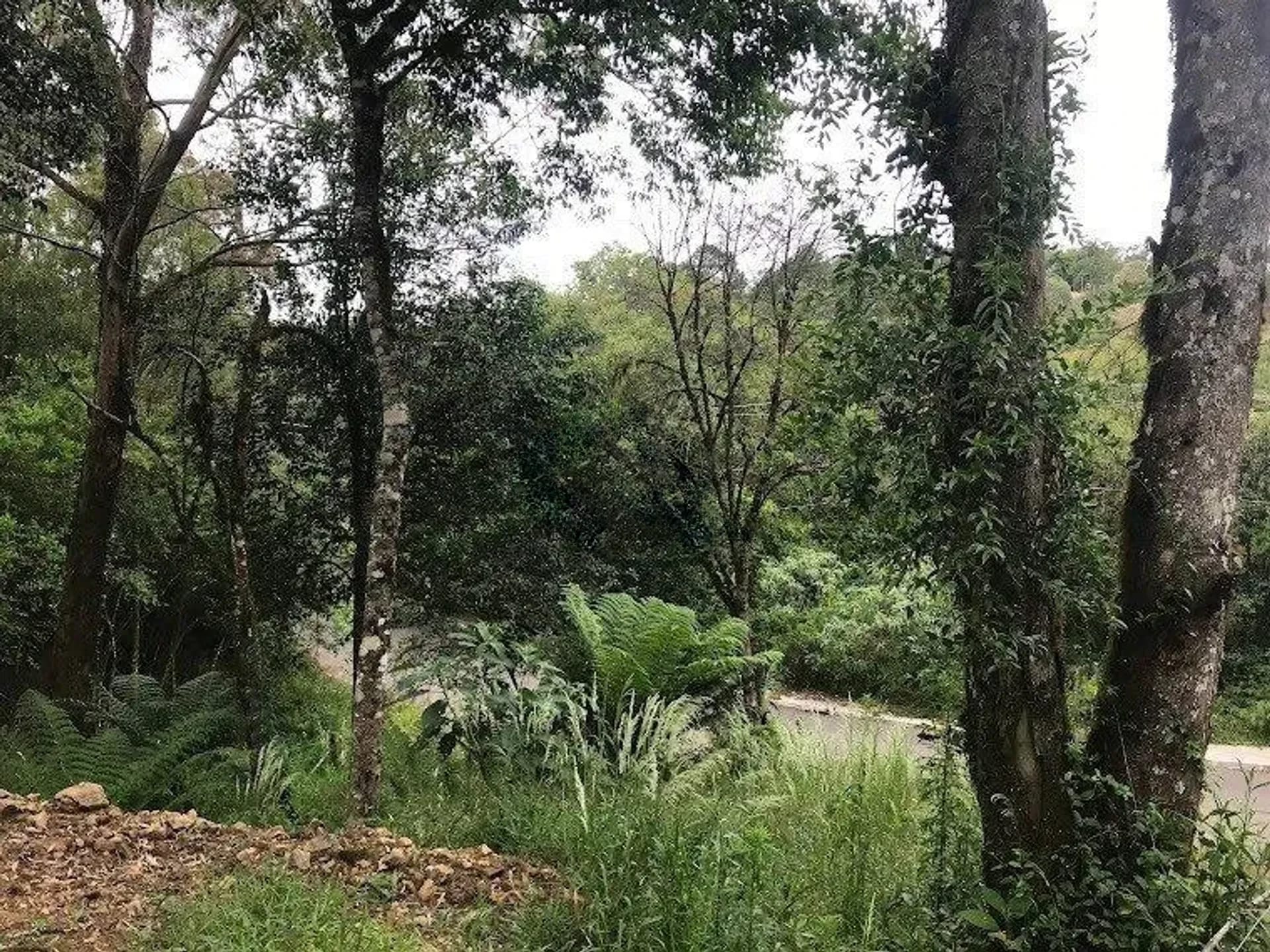 Trecho do lote junto à rua
