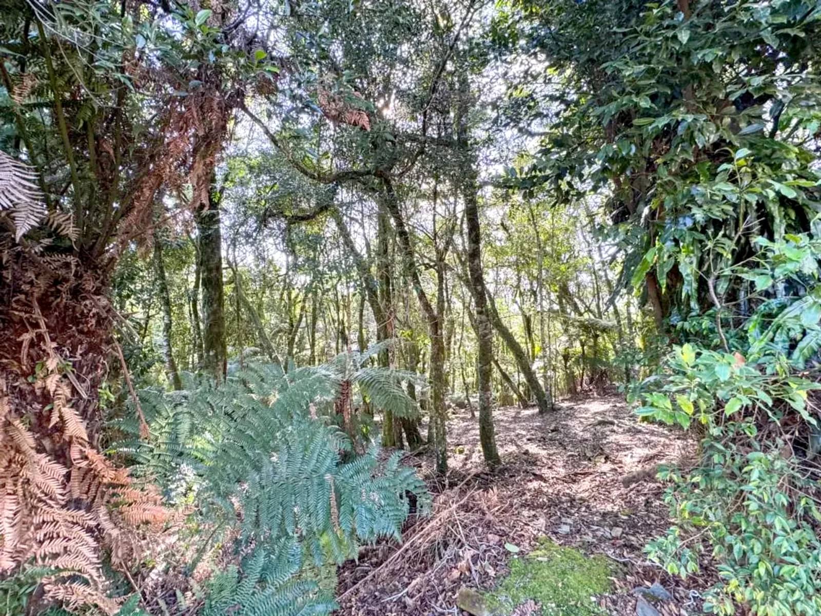 Terreno de 620 m² em condomínio fechado com lagos, foto 2