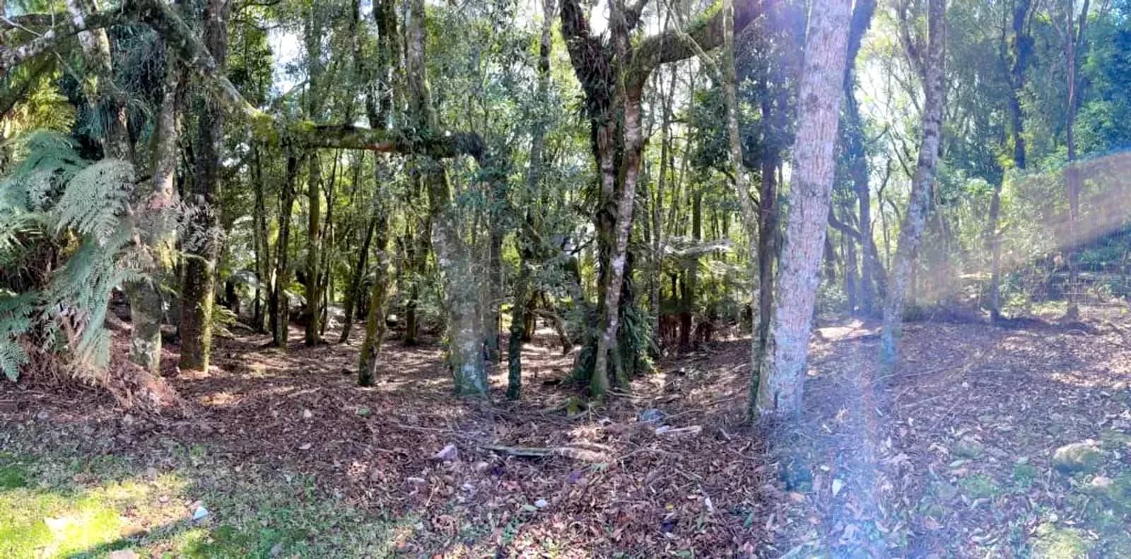 Terreno de 620 m² em condomínio fechado com lagos, foto 3
