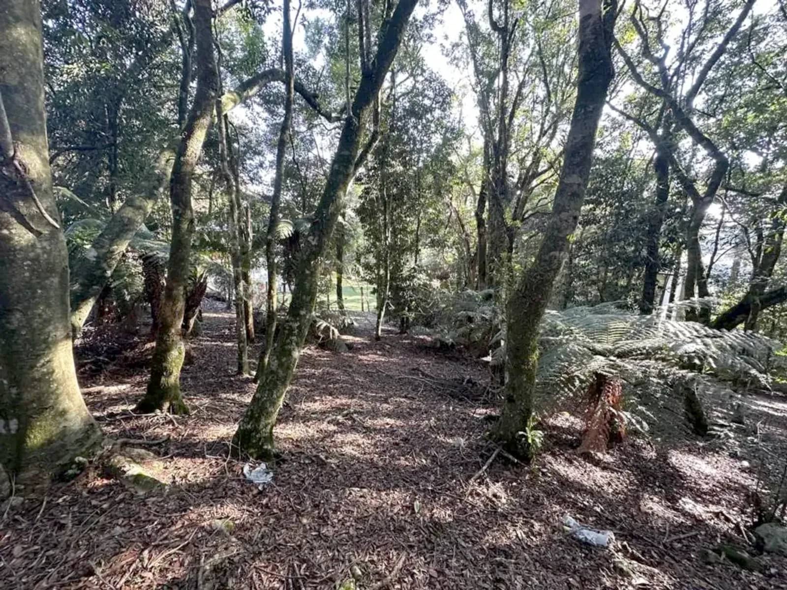 Terreno de 620 m² em condomínio fechado com lagos, foto 6