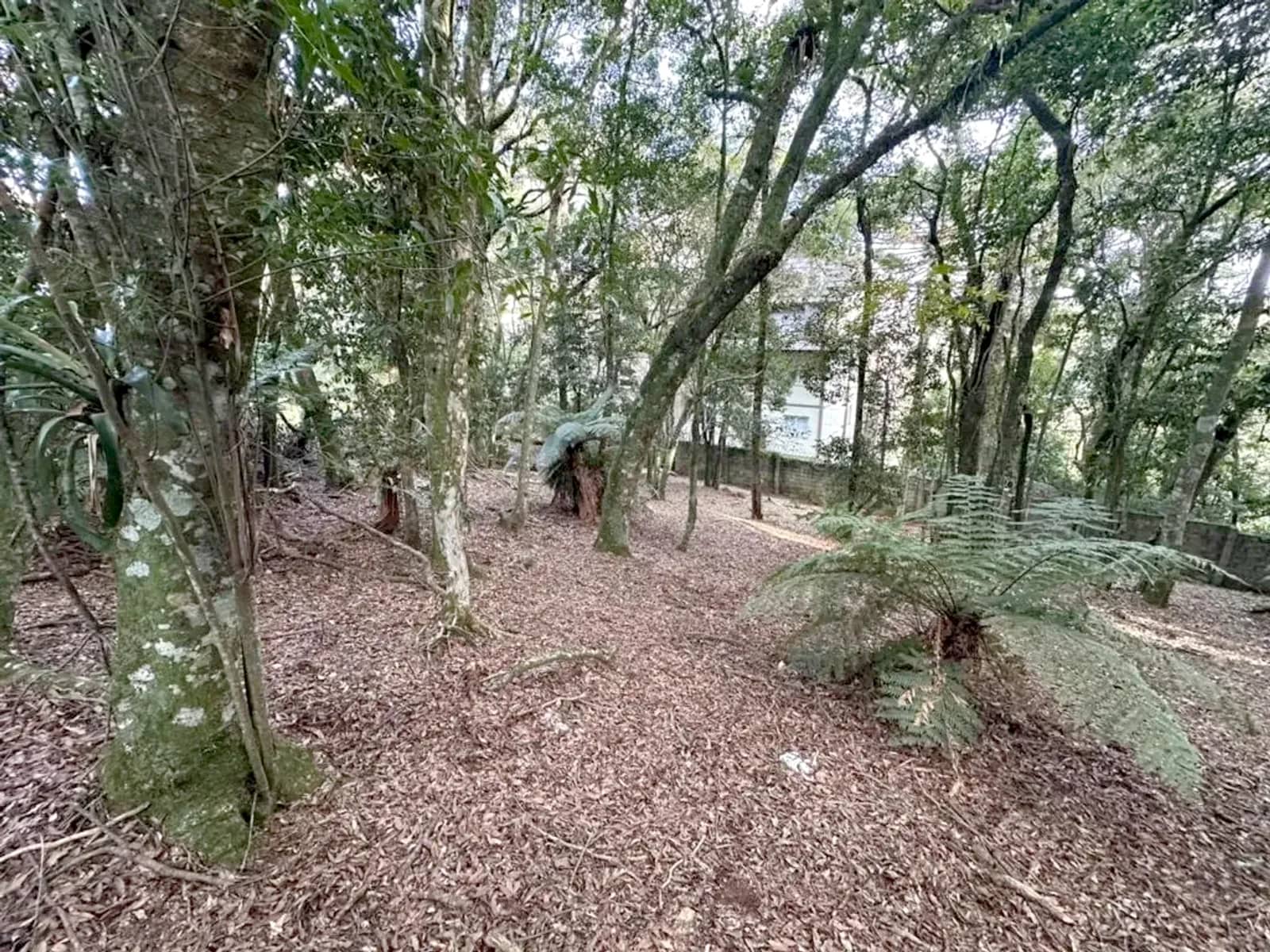 Terreno de 620 m² em condomínio fechado com lagos, foto 7