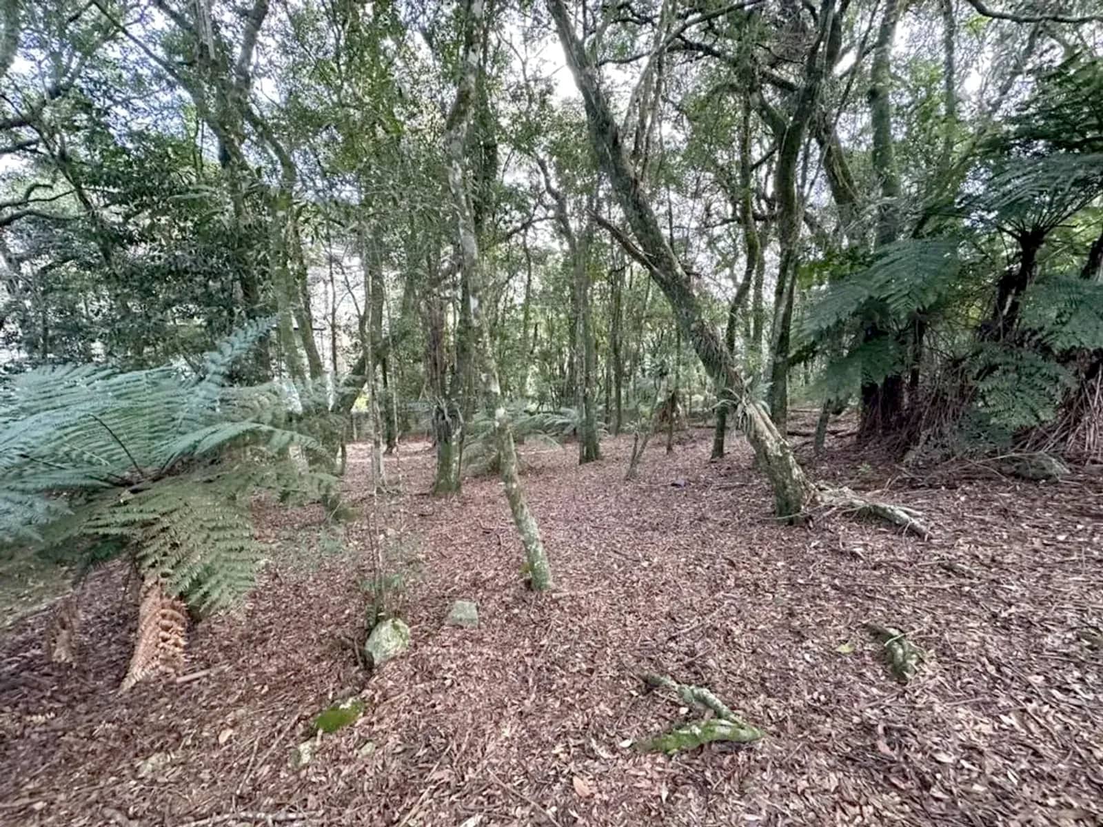 Terreno de 637 m² em condomínio perto da Rua Coberta