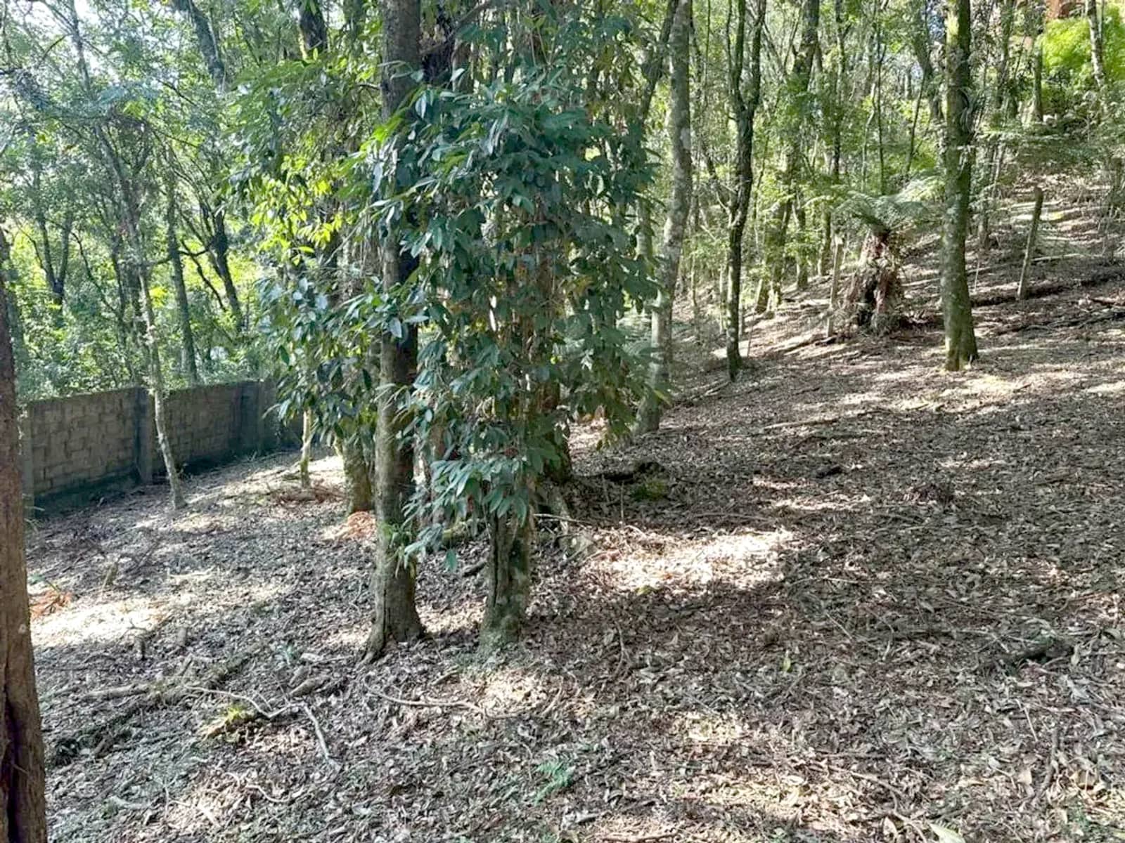 Terreno de 637 m² em condomínio perto da Rua Coberta, foto 3