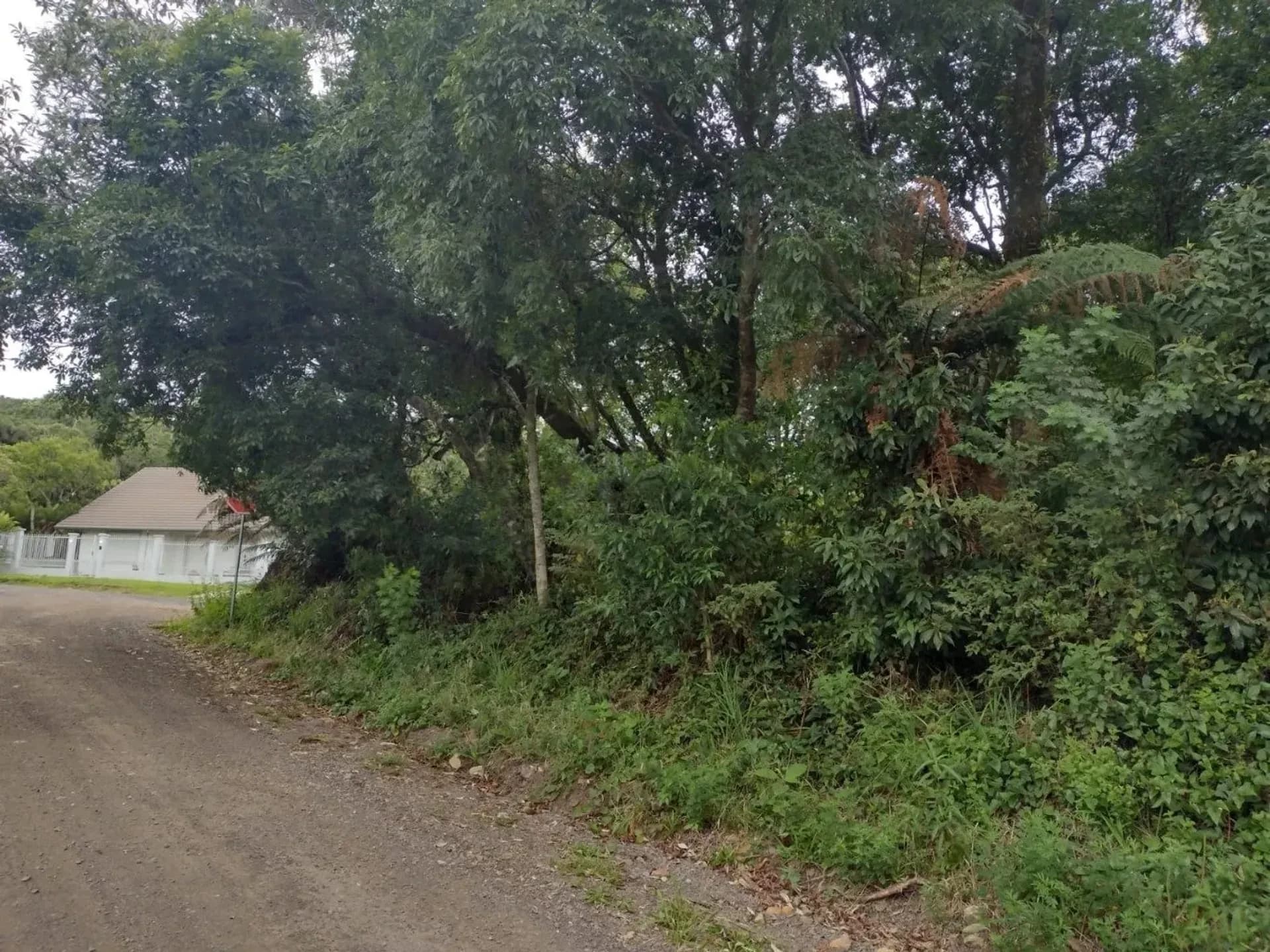 Terreno de 646 m² junto à rua no Alpes Verdes, em Canela