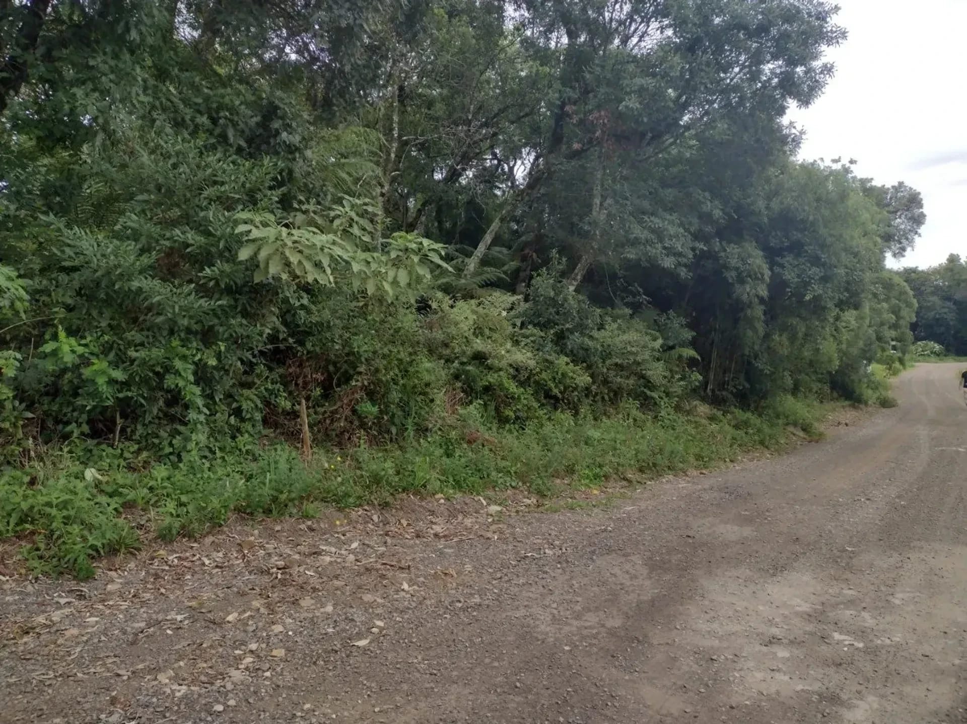 Lateral do lote e a rua