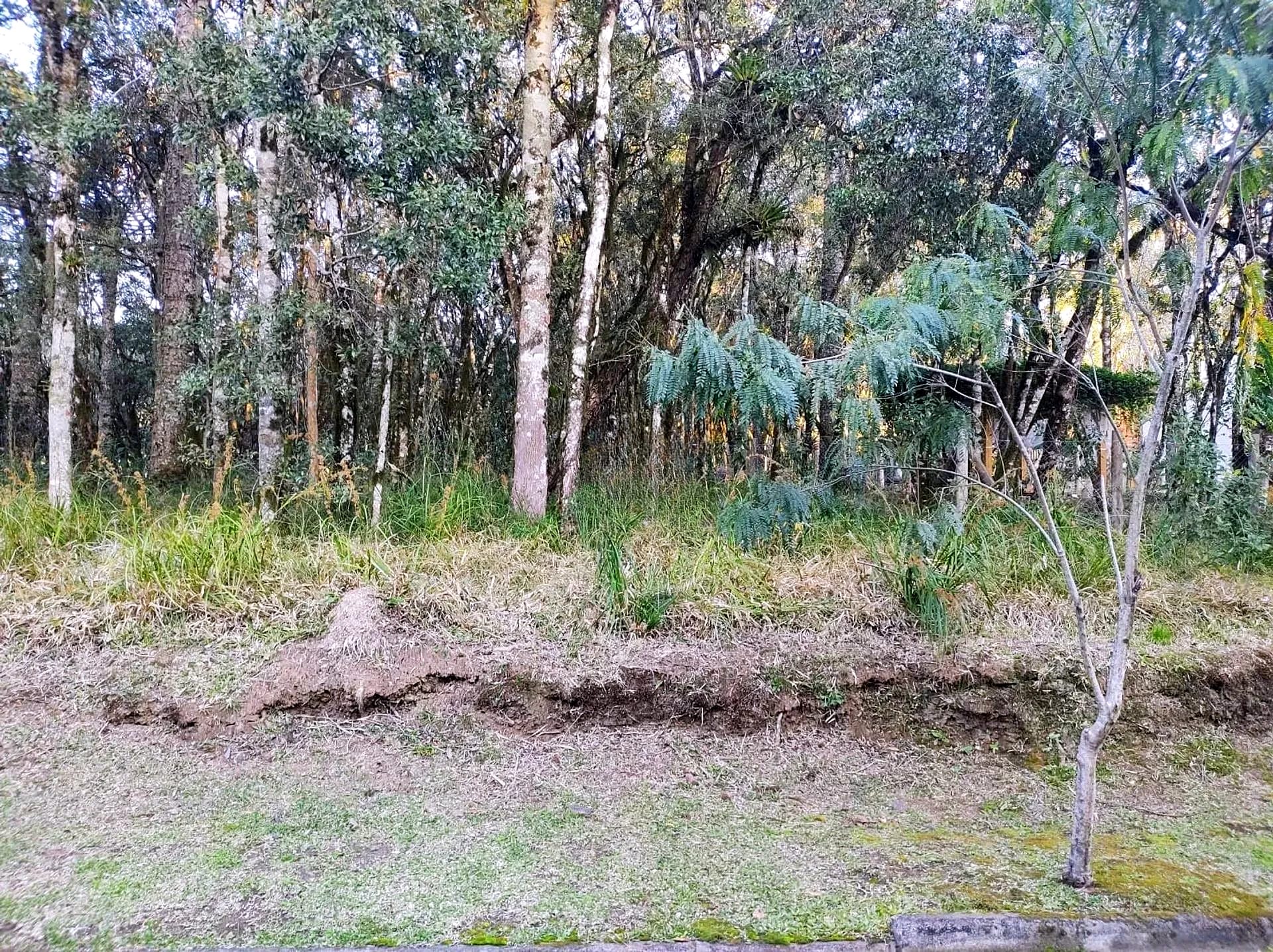 Terreno plano de 654 m² em condomínio fechado na ERS-466, foto 2