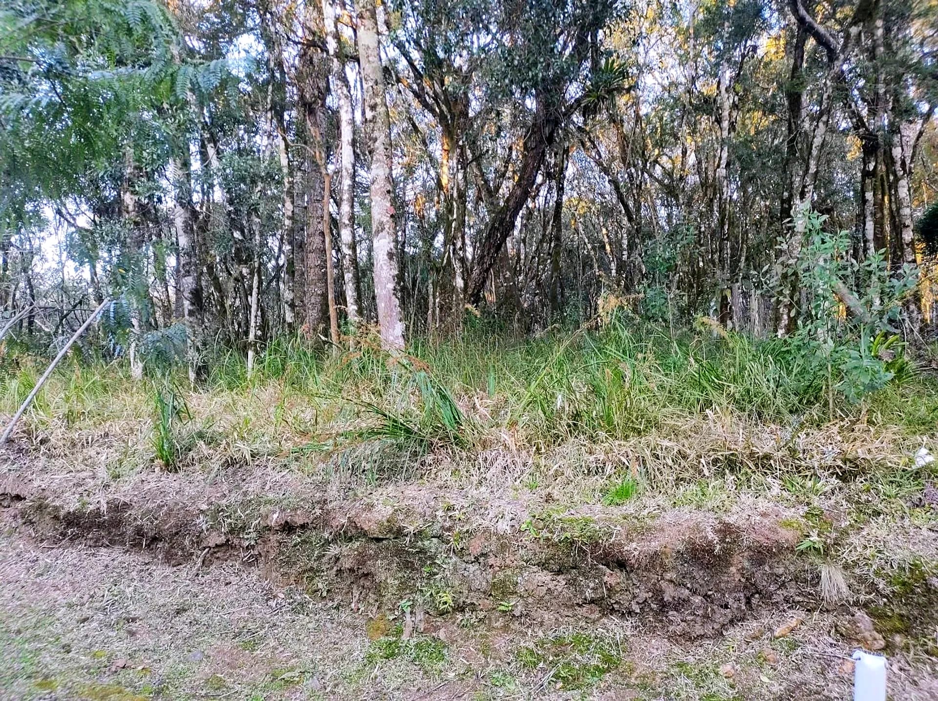 Terreno plano de 654 m² em condomínio fechado na ERS-466, foto 3