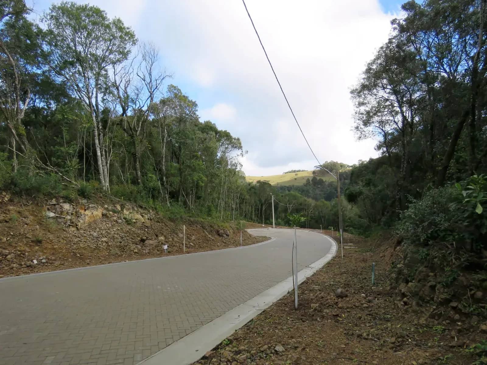 Rua do loteamento entre a mata
