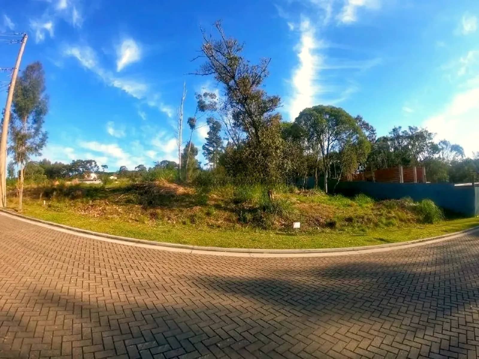 Terreno com árvores nativas