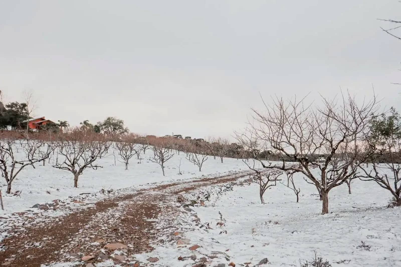 Paisagem do loteamento com geada