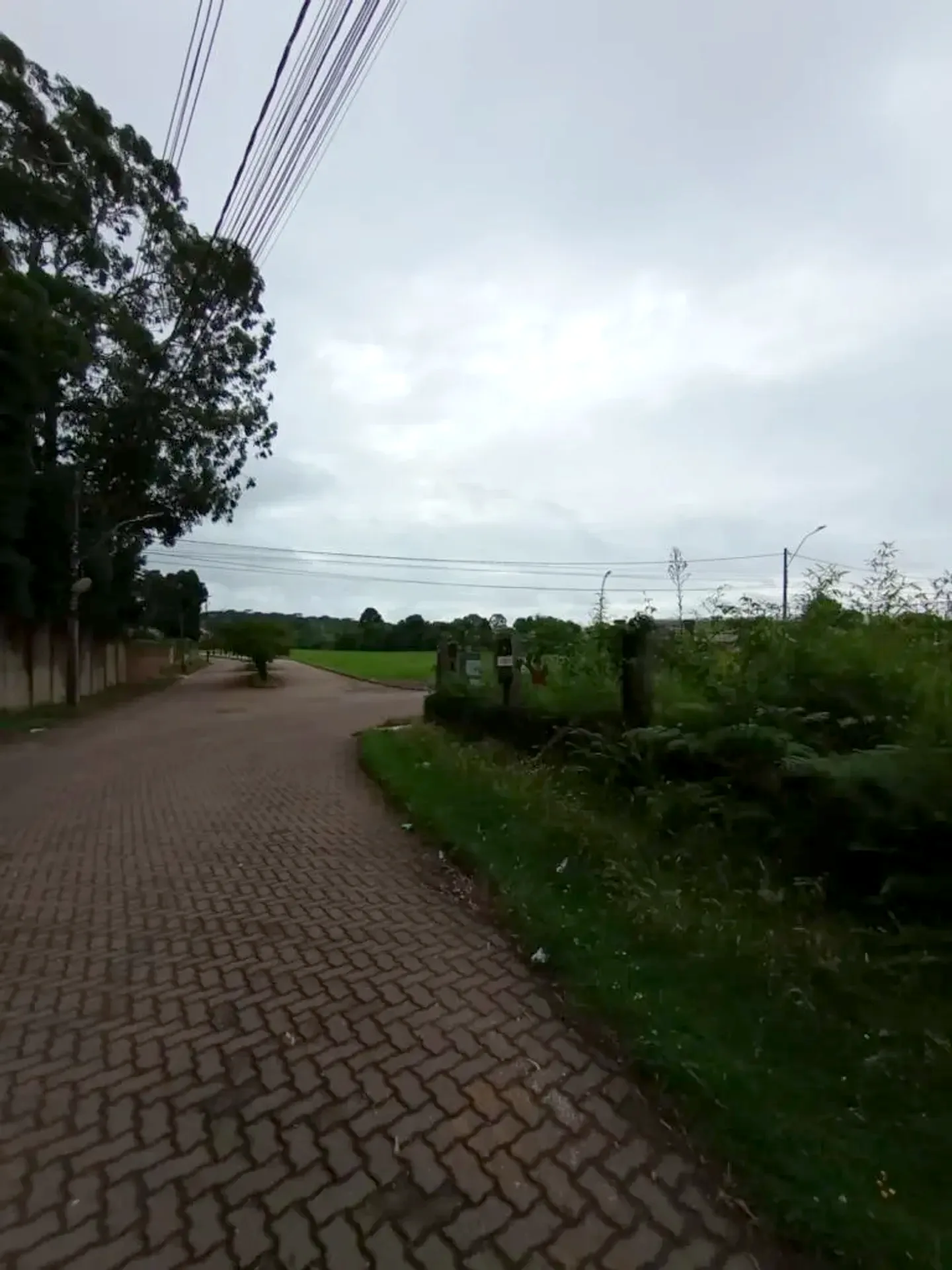 Terreno de esquina de 600 m² no São José, foto 6