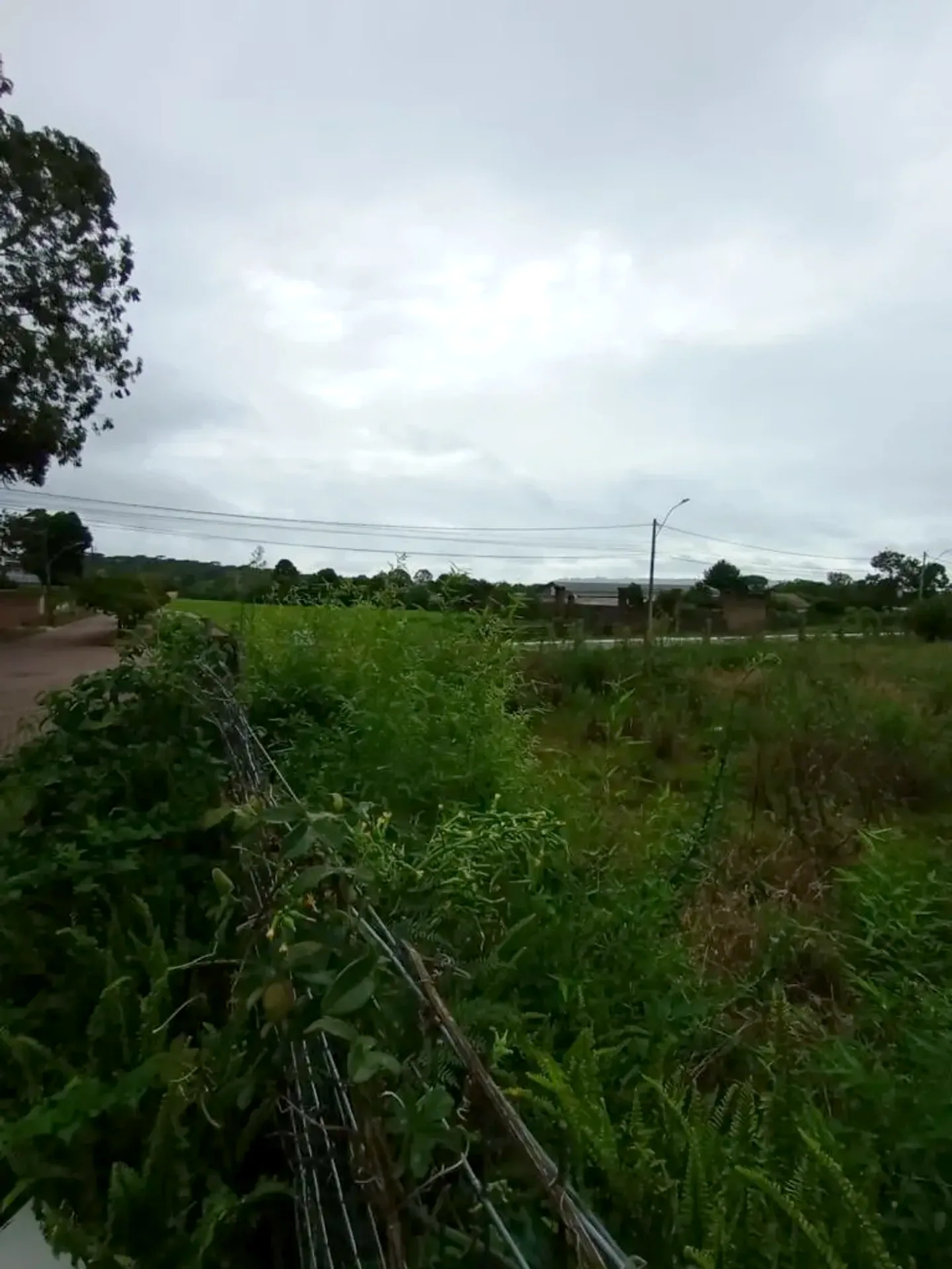 Terreno de esquina de 600 m² no São José, foto 7