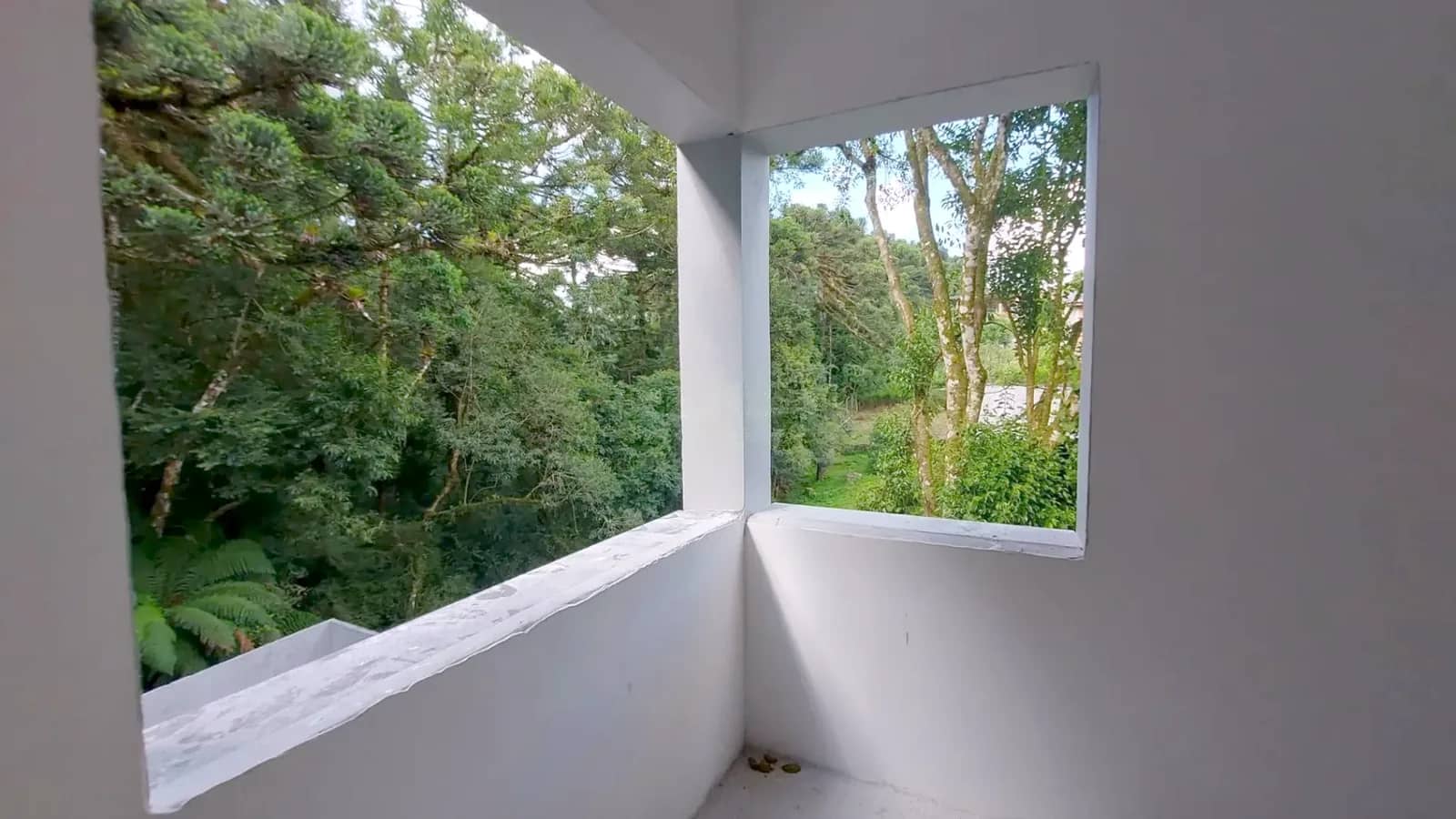 Janela do apartamento com vista para a mata