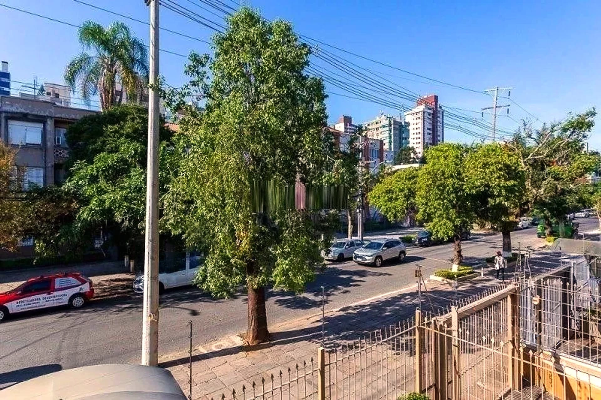Vista arborizada da rua