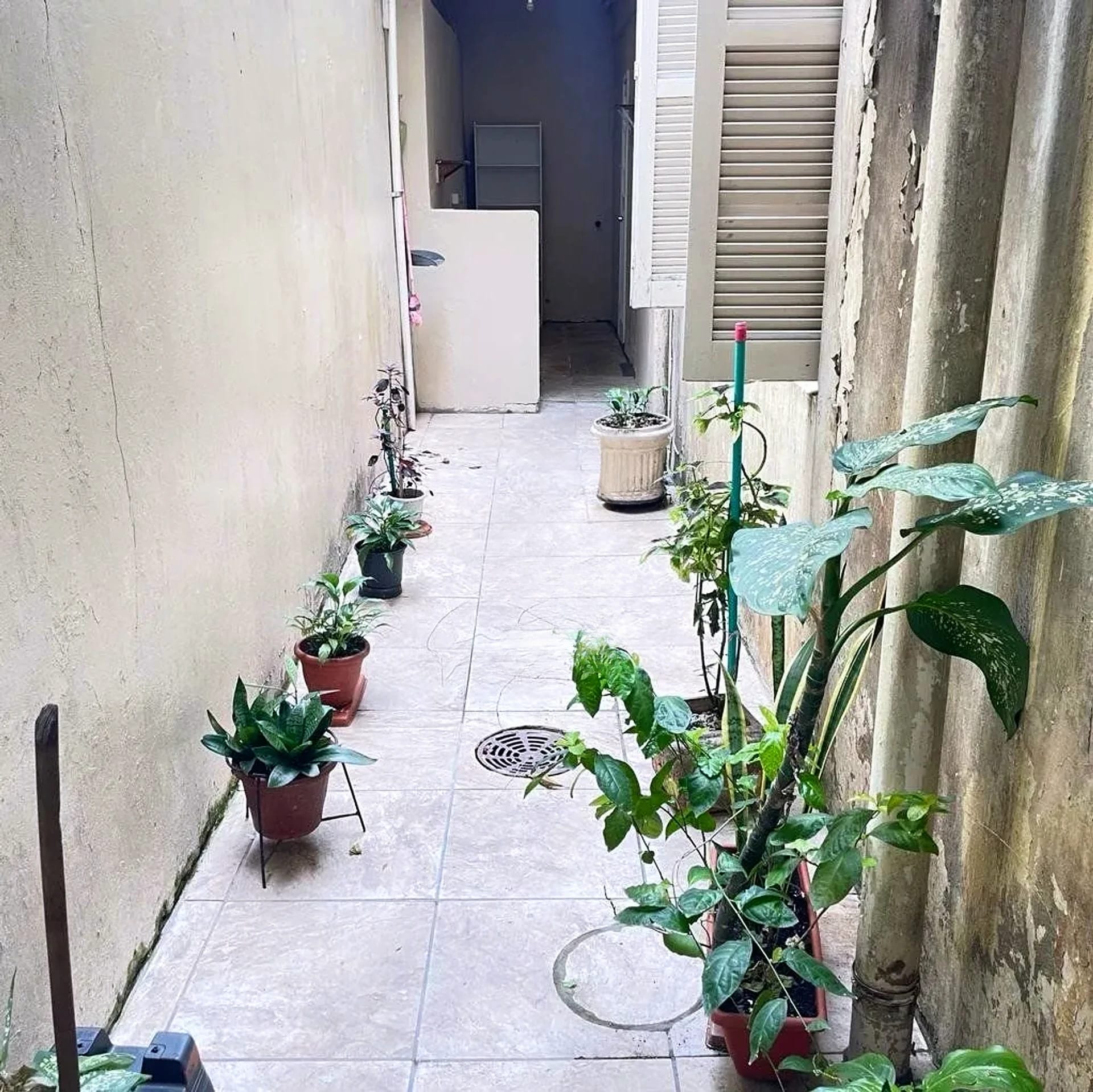 Pátio com plantas