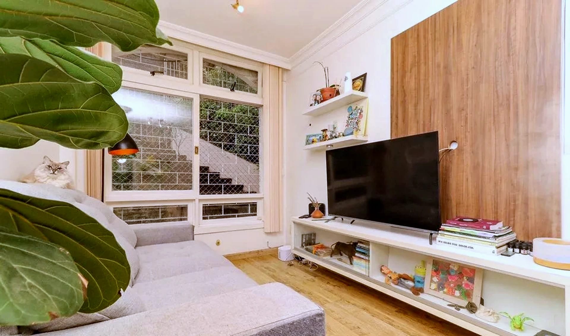 Living com estante e TV